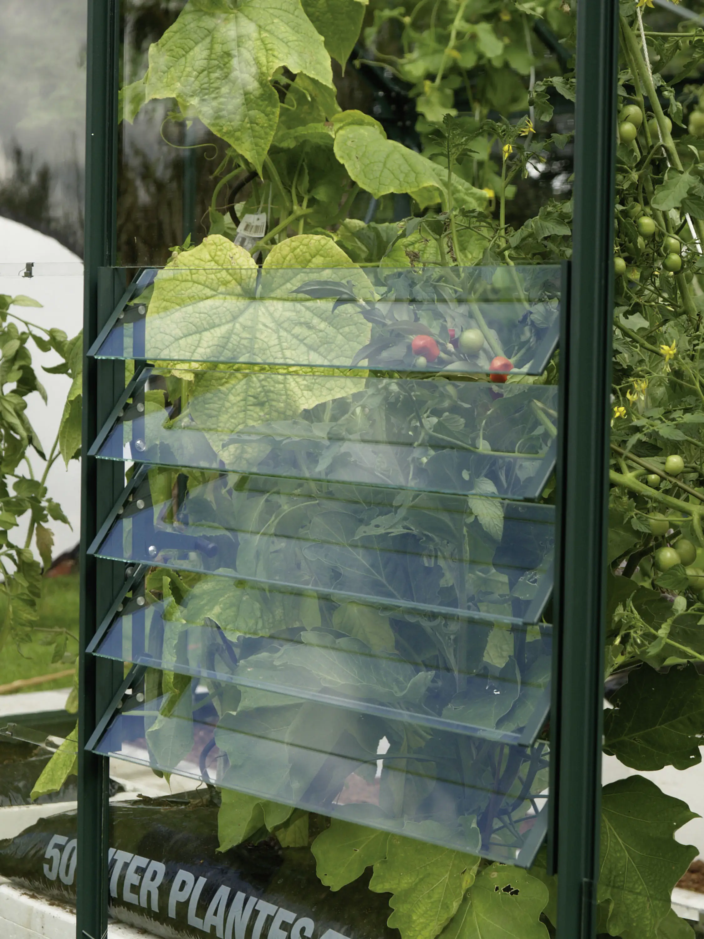 Vitavia Lamellen-Wandfenster 61 x 45 cm smaragd