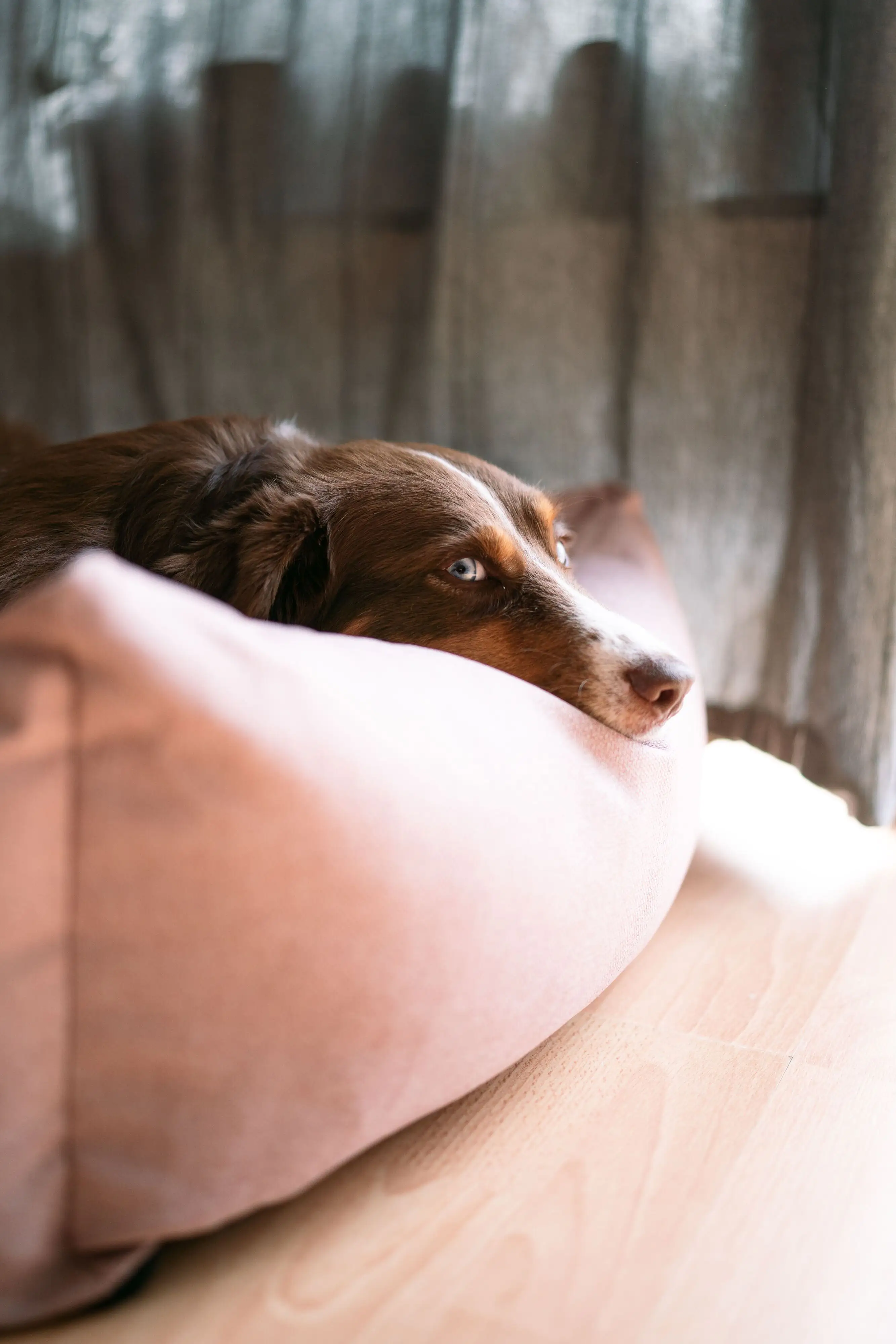 Lebon Hundebett Silver 100 x 75 cm rose