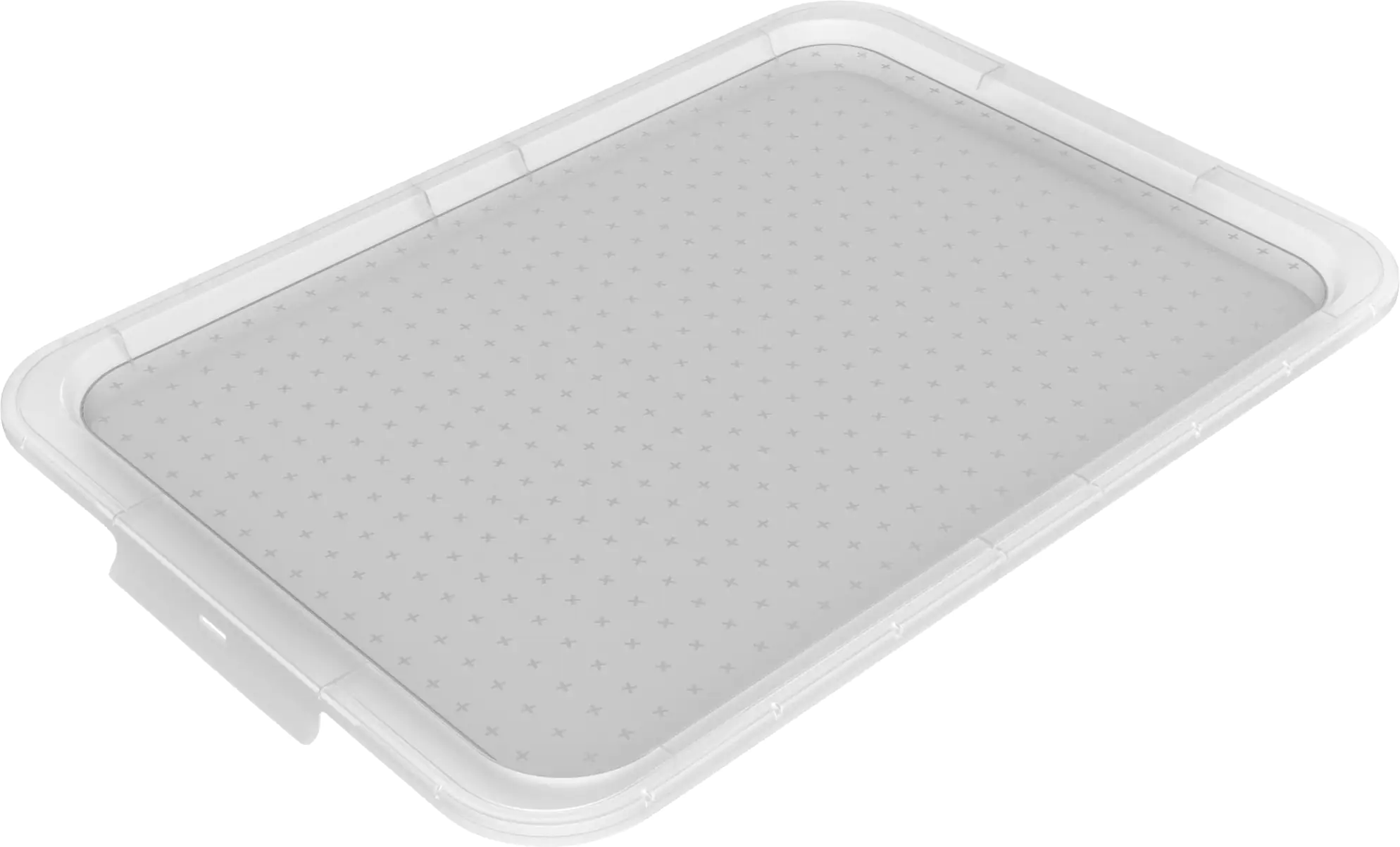 Rotho Stülpdeckel zu Box Albris 45 L transparent 56 x 40 x 3 cm (LxBxH) Rotho Stülpdeckel zu Box Albris 45 L transparent 56 x 40 x 3 cm (LxBxH)