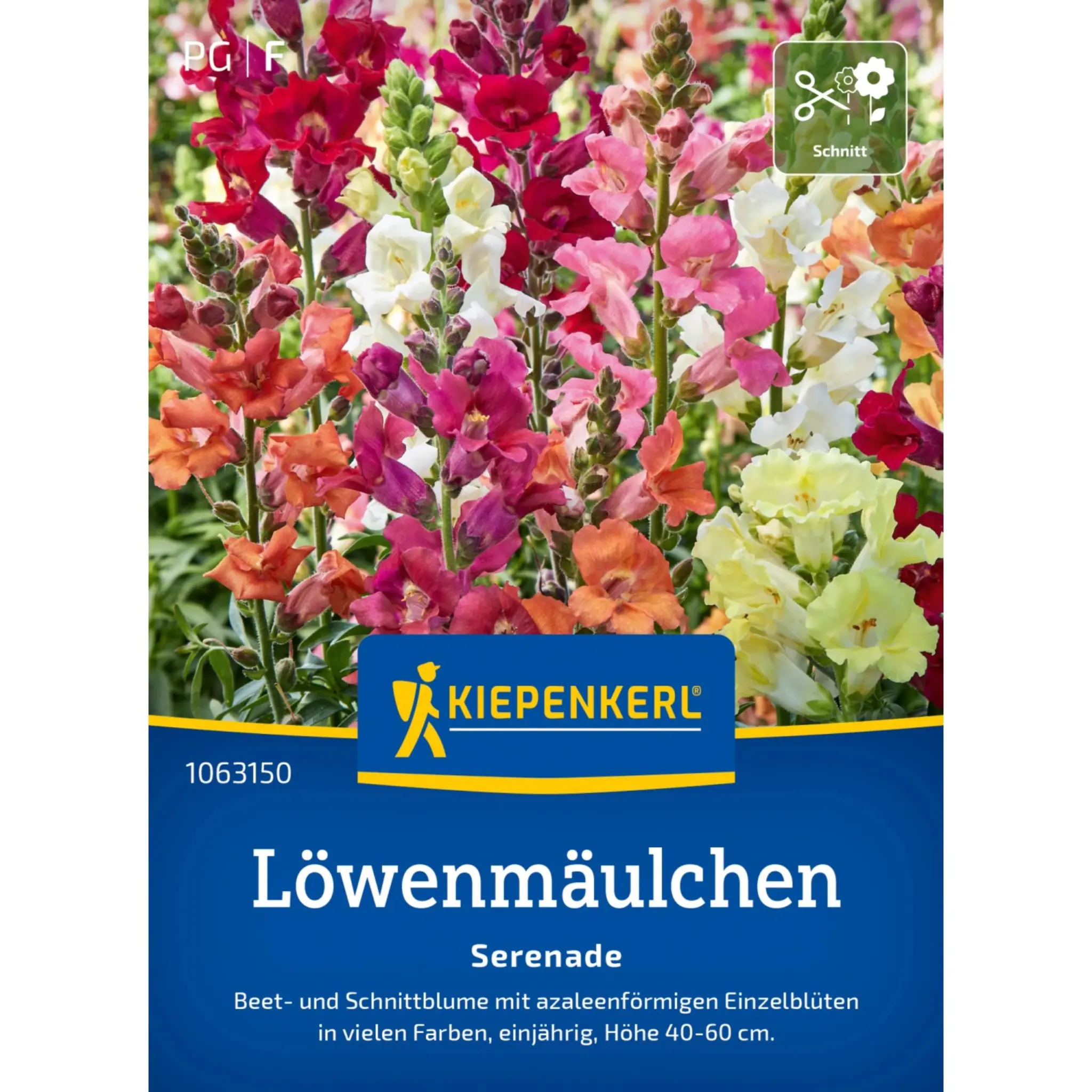 Kiepenkerl Blumensamen Löwenmäulchen Serenade für ca. 200 Pflanzen