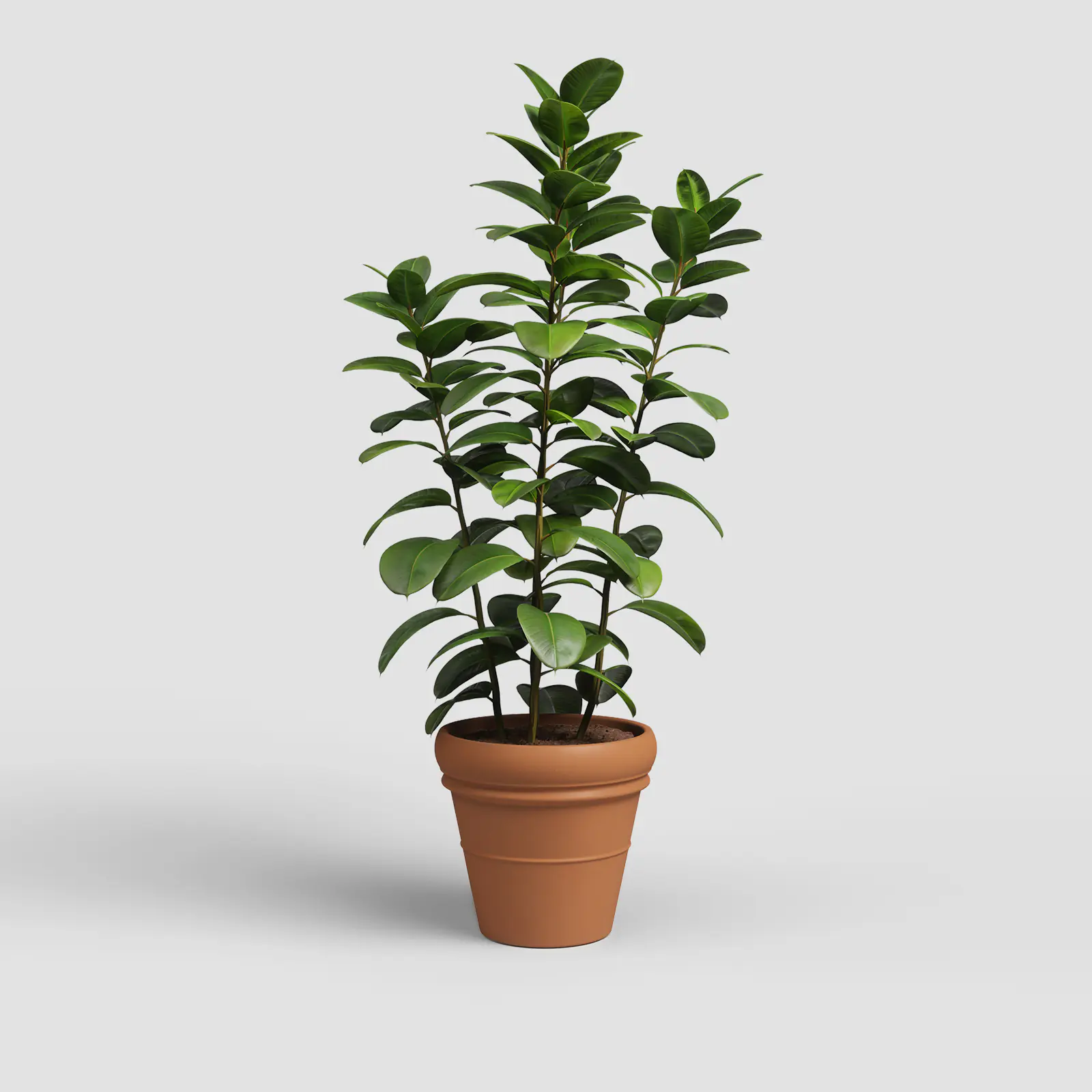 Artevasi Pflanztopf Mariza Terrakotta Ø 58,3 x 49 cm natur