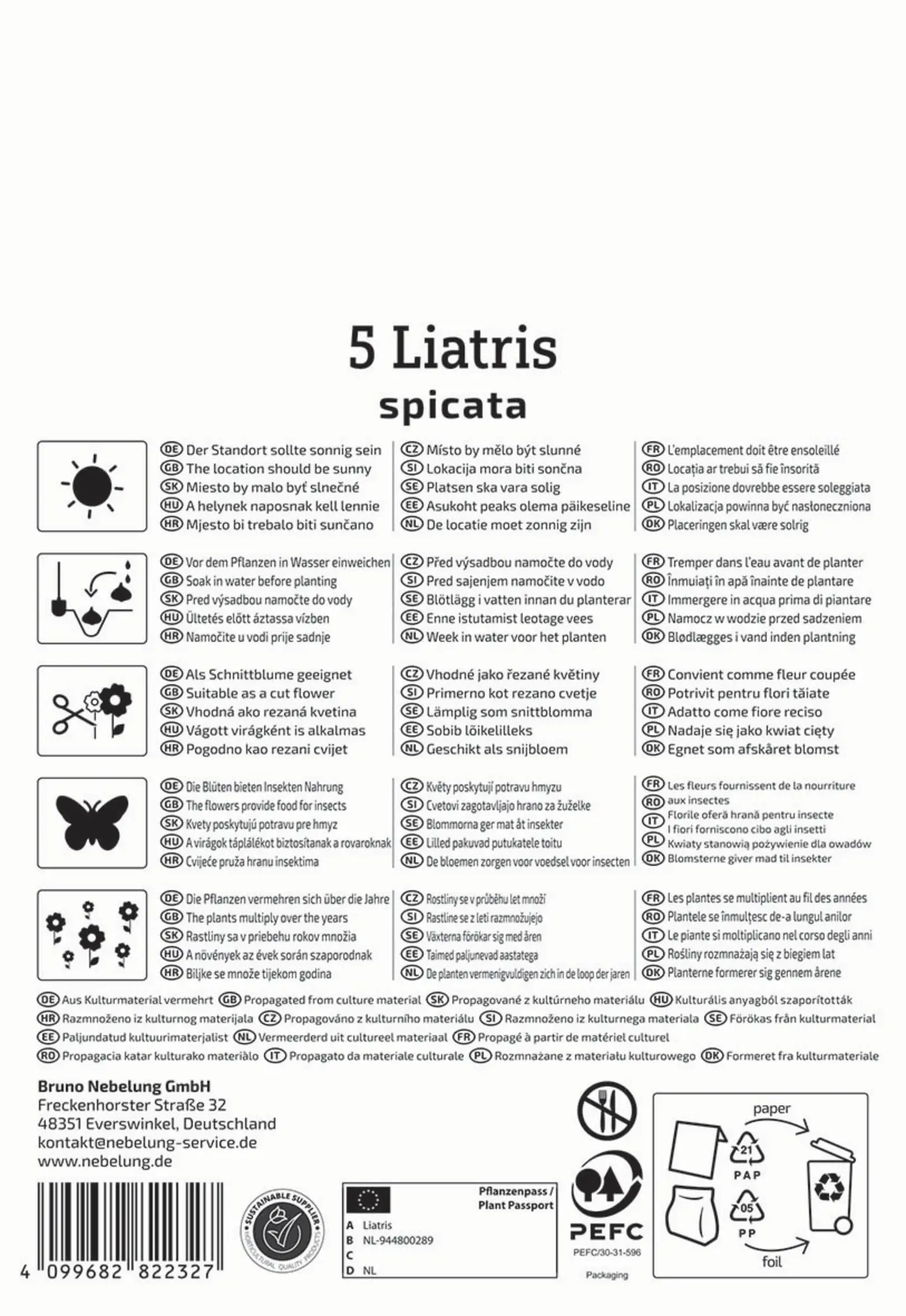 Kiepenkerl Frühjahrsblumenzwiebel Prachtscharte Liatris Blau 5 Stück