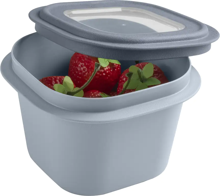Sunware Frischhaltedose Sigma Home 0,8 L blaugrau Sunware Frischhaltedose Sigma Home 0,8 L blaugrau