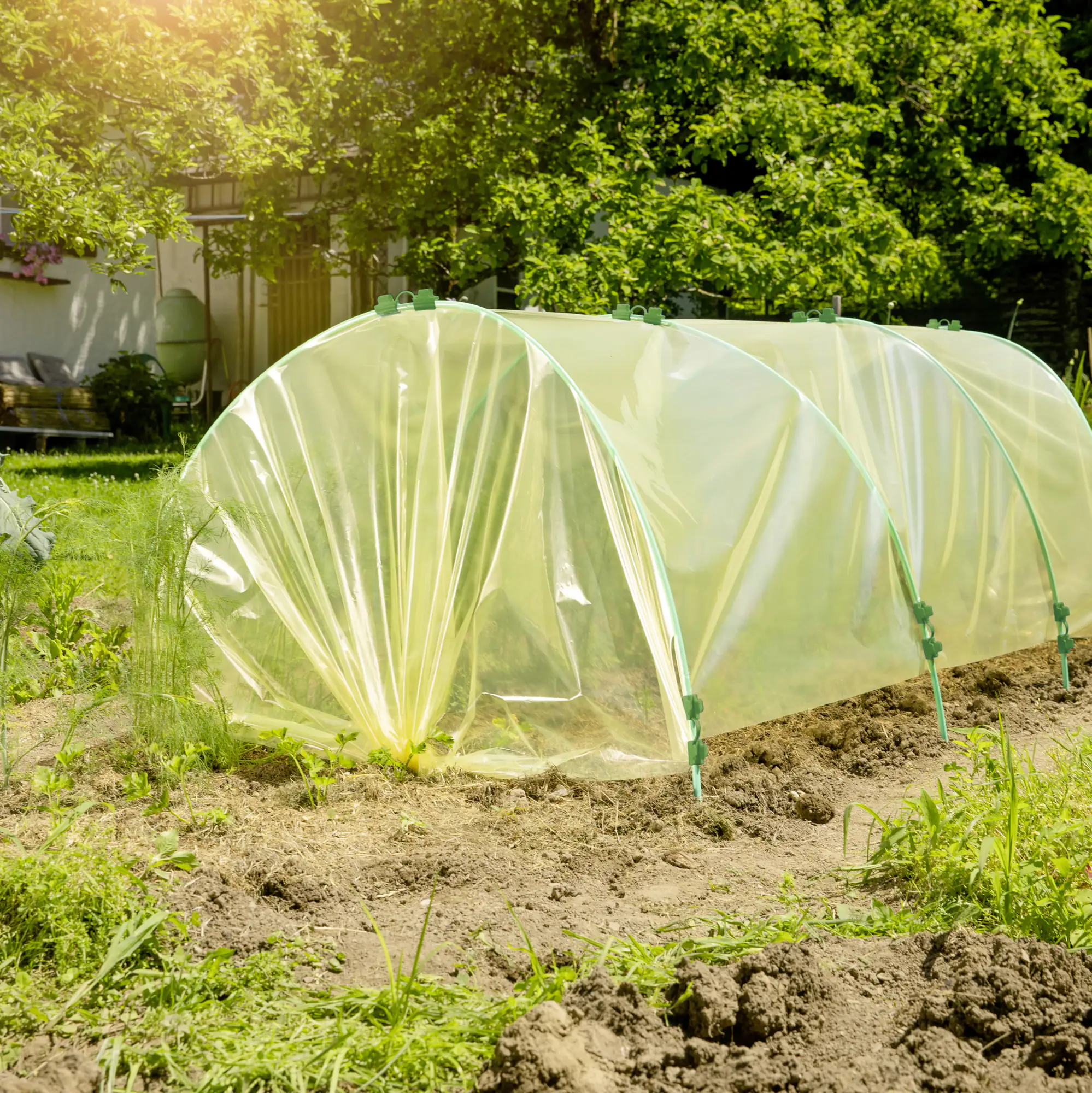 Windhager Tunnelgewächshaus-Folie 2 x 10 m, 70my