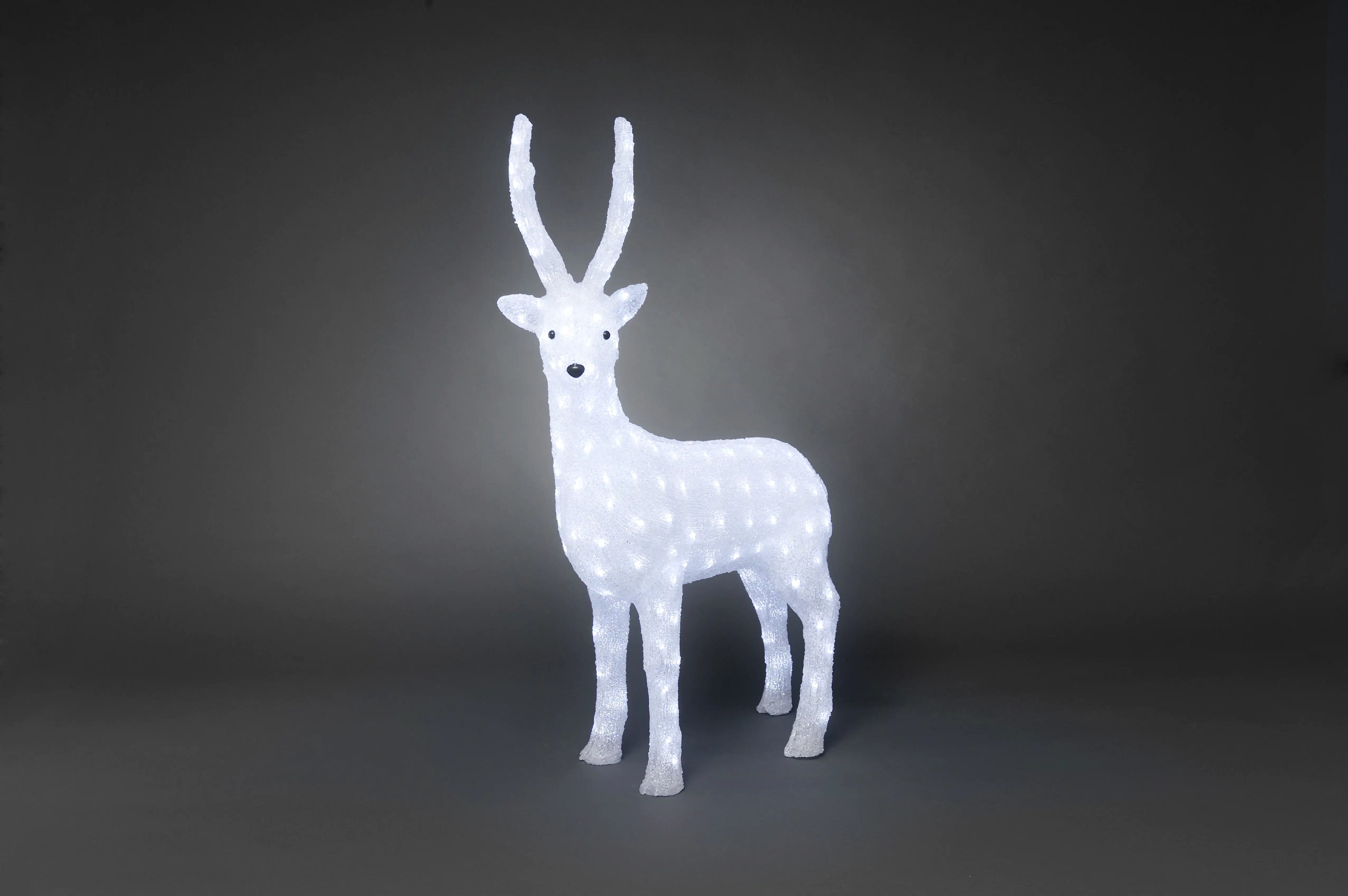 7318306168205 Konstsmide LED Acryl Rentier