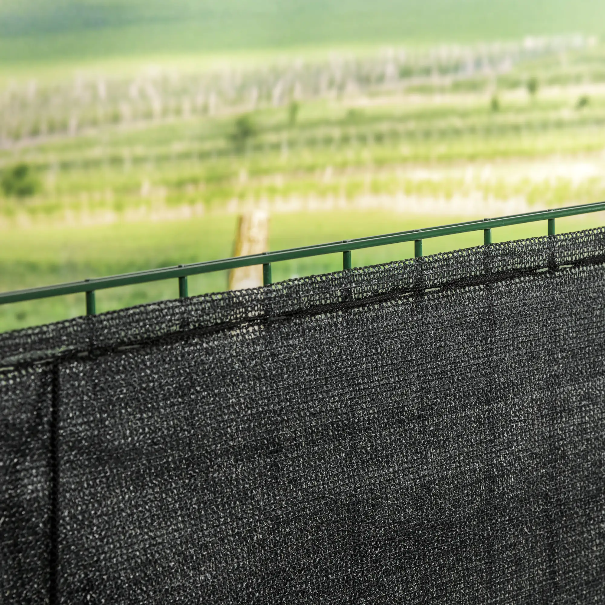 Windhager Zaunblende Screenex Classic 1 x 5 m