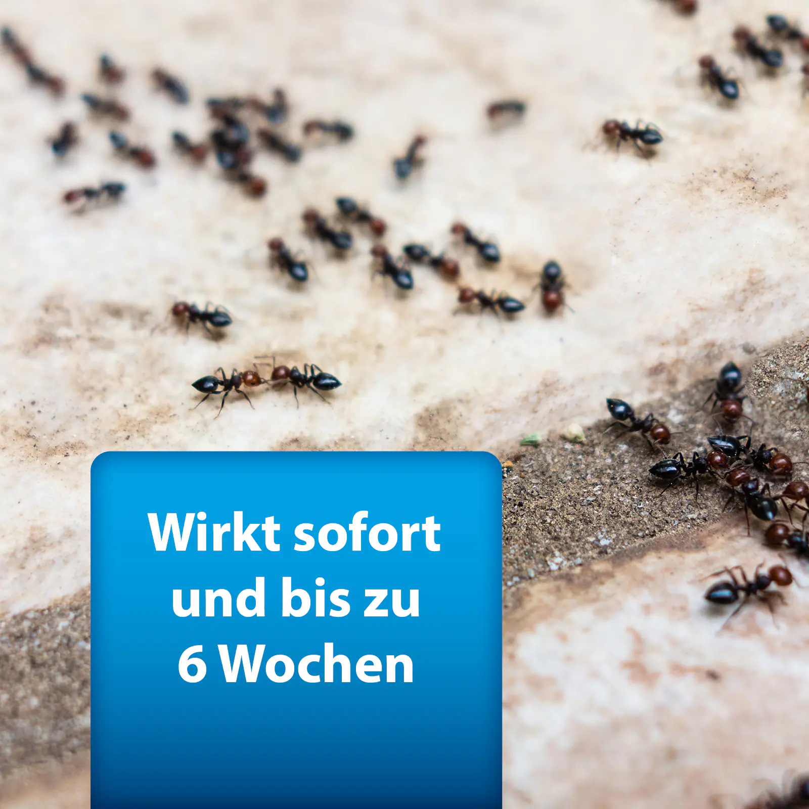 ARDAP Pro Ungezieferspray 750 ml