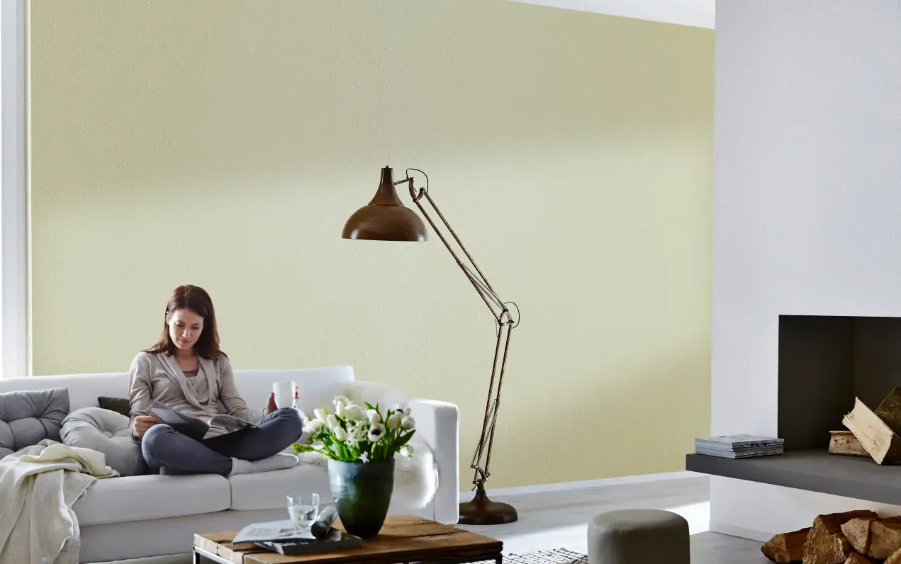 Knauf Easyputz Farbwalze