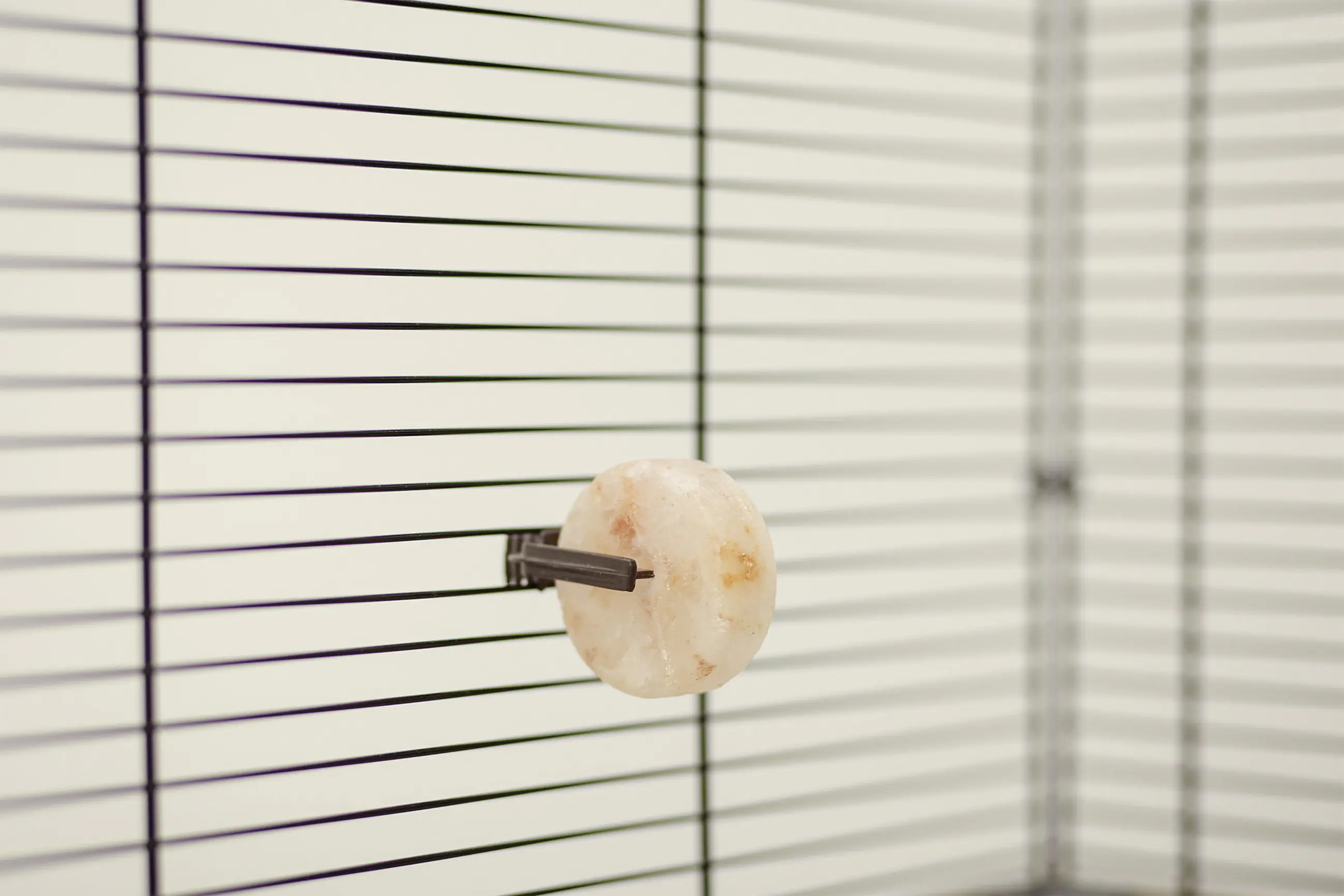 Kerbl Leckstein aus Bergkristallsalz 80 g  Ø 5 cm inklusive Halter