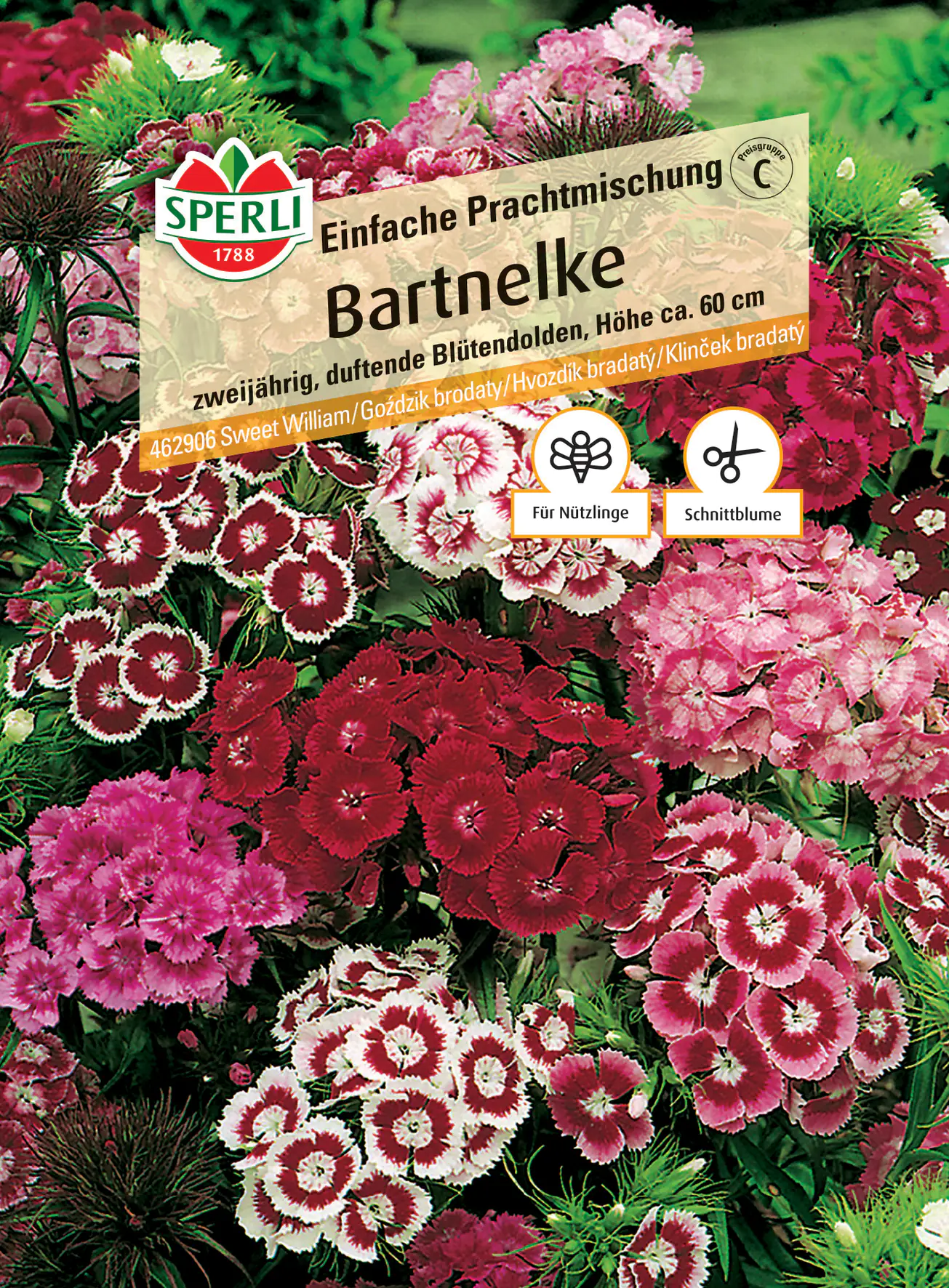 Sperli Bartnelke Einfache Prachtmischung