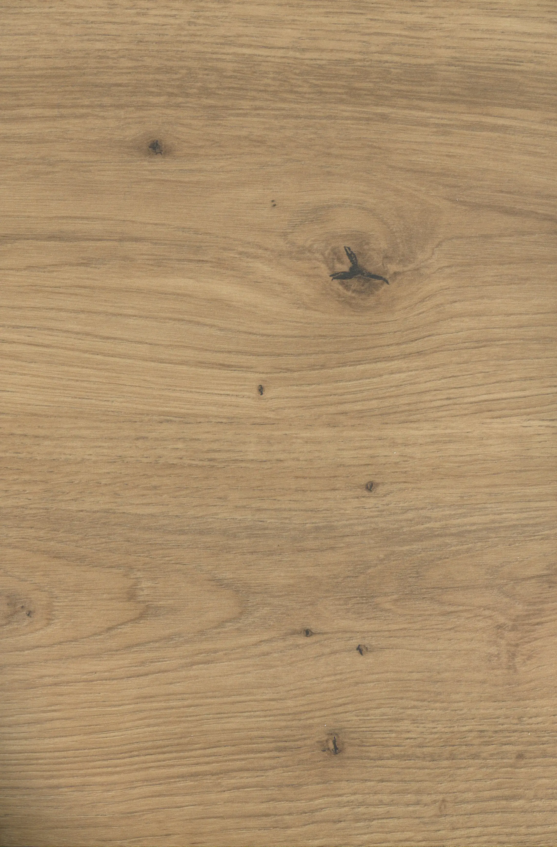 GetaElements Getalit flex Kante Ei793 artis eiche 65x4,4x0,03 cm