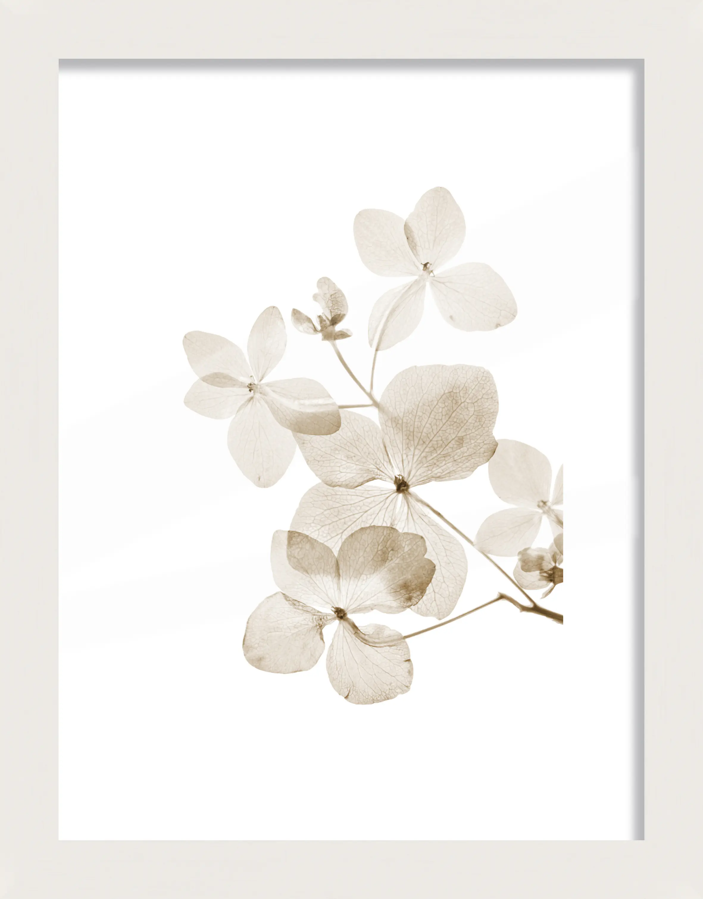 Bilderrahmen Holz Luzern weiß 18 x 24 cm 