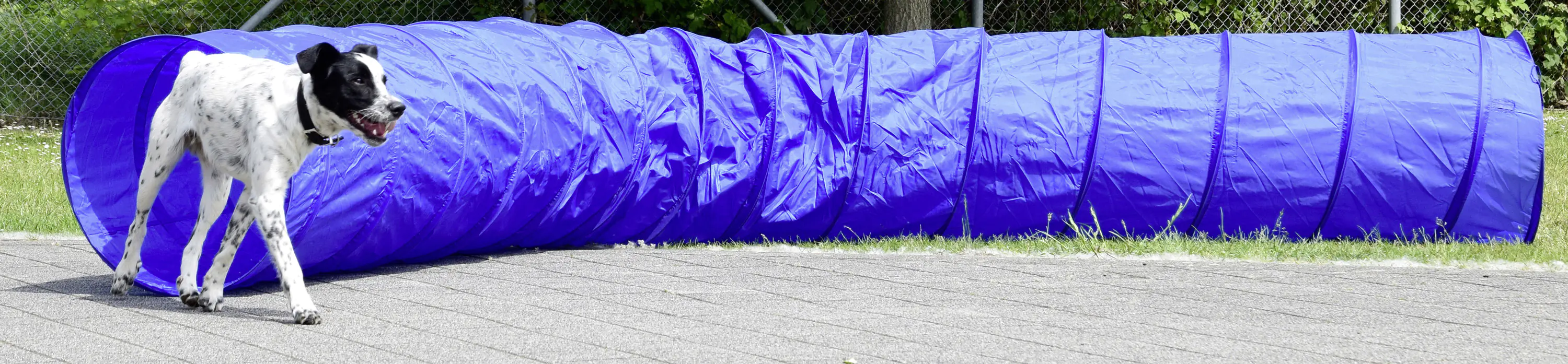 Dobar Agility-Tunnel Ø 60 x 500 cm