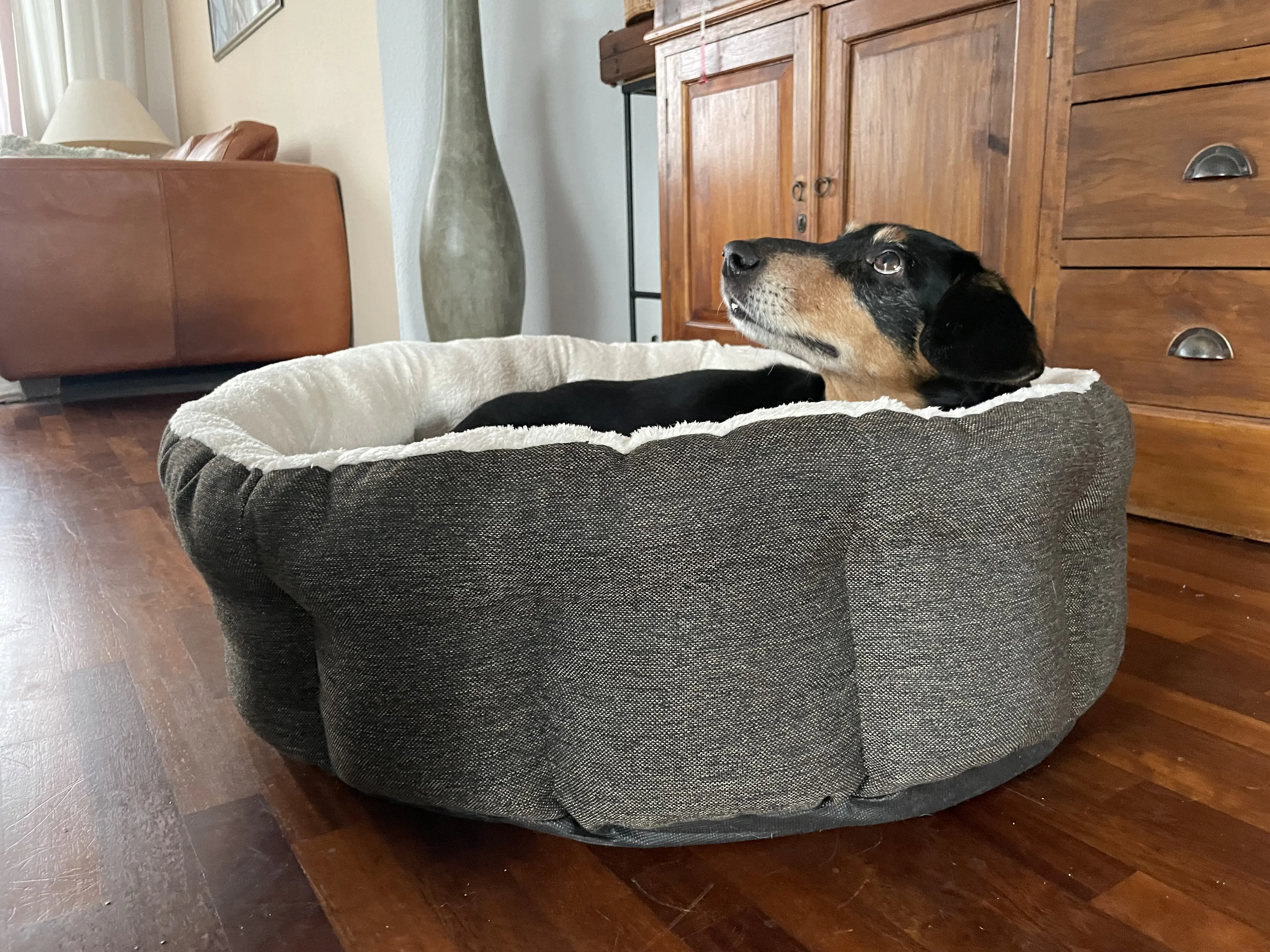 Lebon Hundebett Wilma 75 x 65 cm braun/weiß