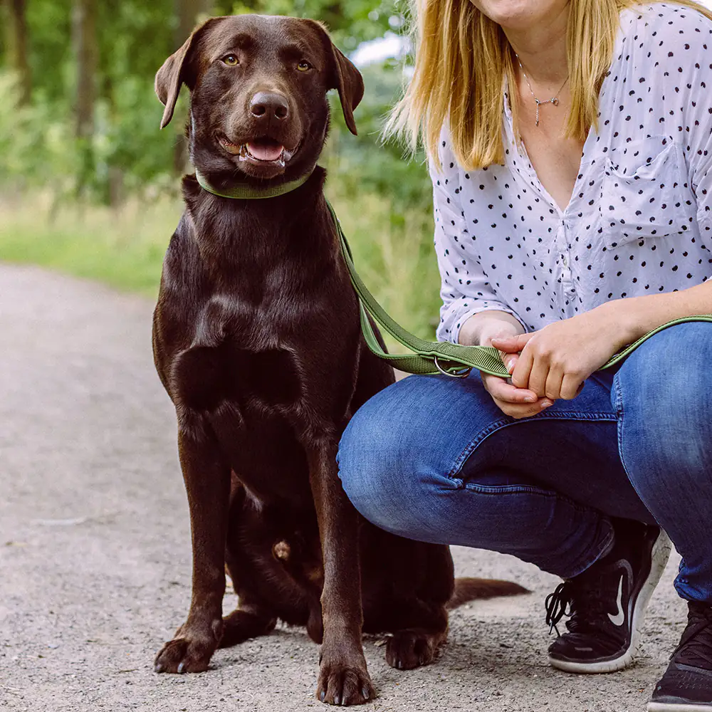 Nobby Führleine Classic Preno waldgrün 200 cm x 15/20 mm