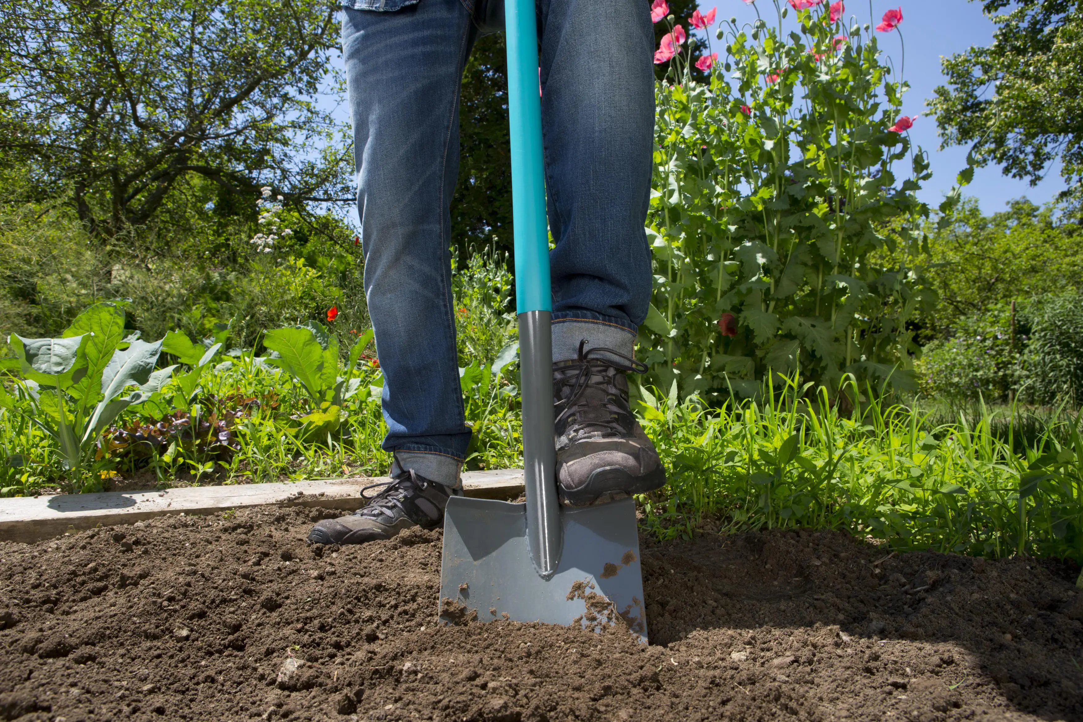 Gardena Spaten ClassicLine 29,7 x 19,3 cm