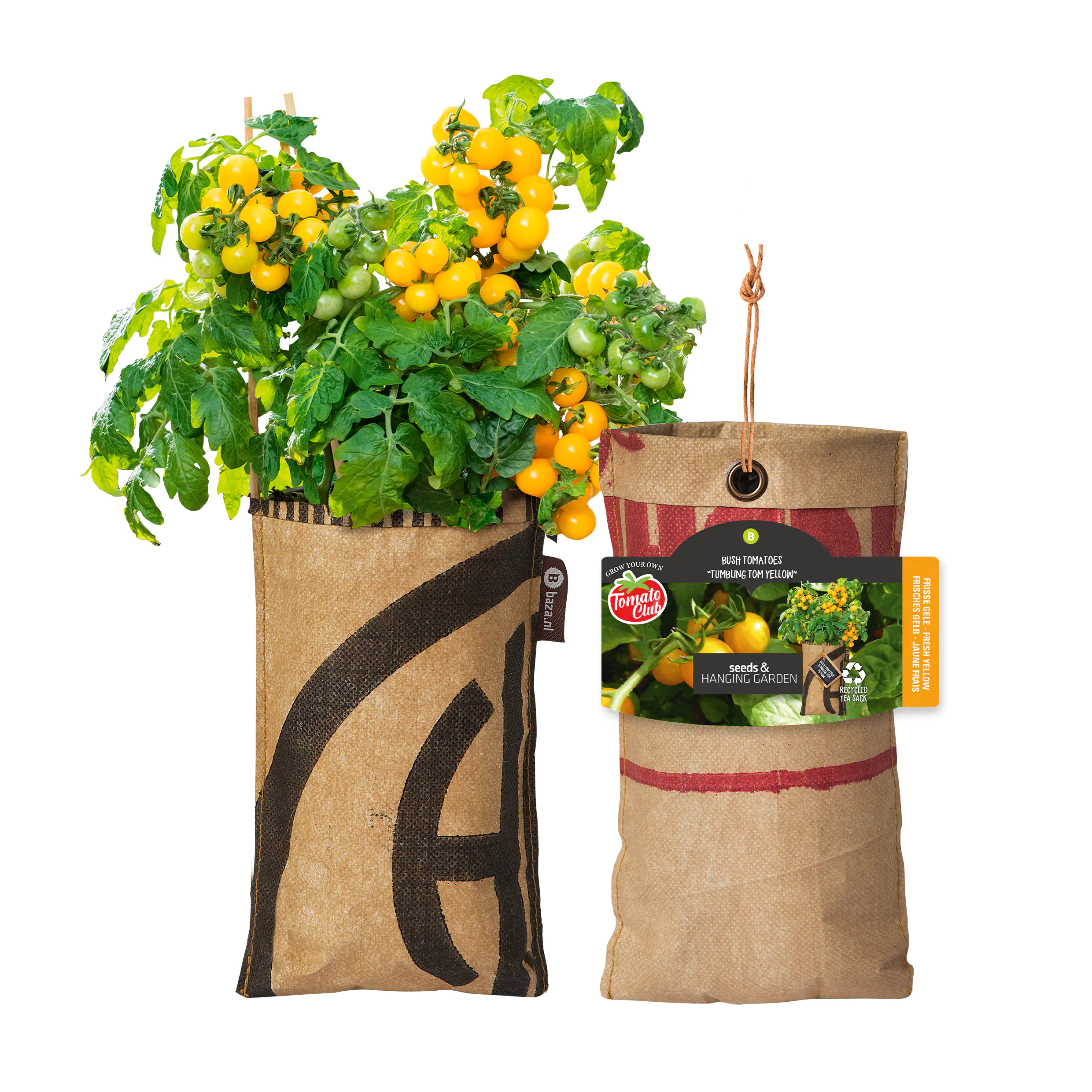 Baza Seeds hängender Garten Strauchtomate Tumbling Tom Yellow  Baza Seeds hängender Garten Strauchtomate Tumbling Tom Yellow