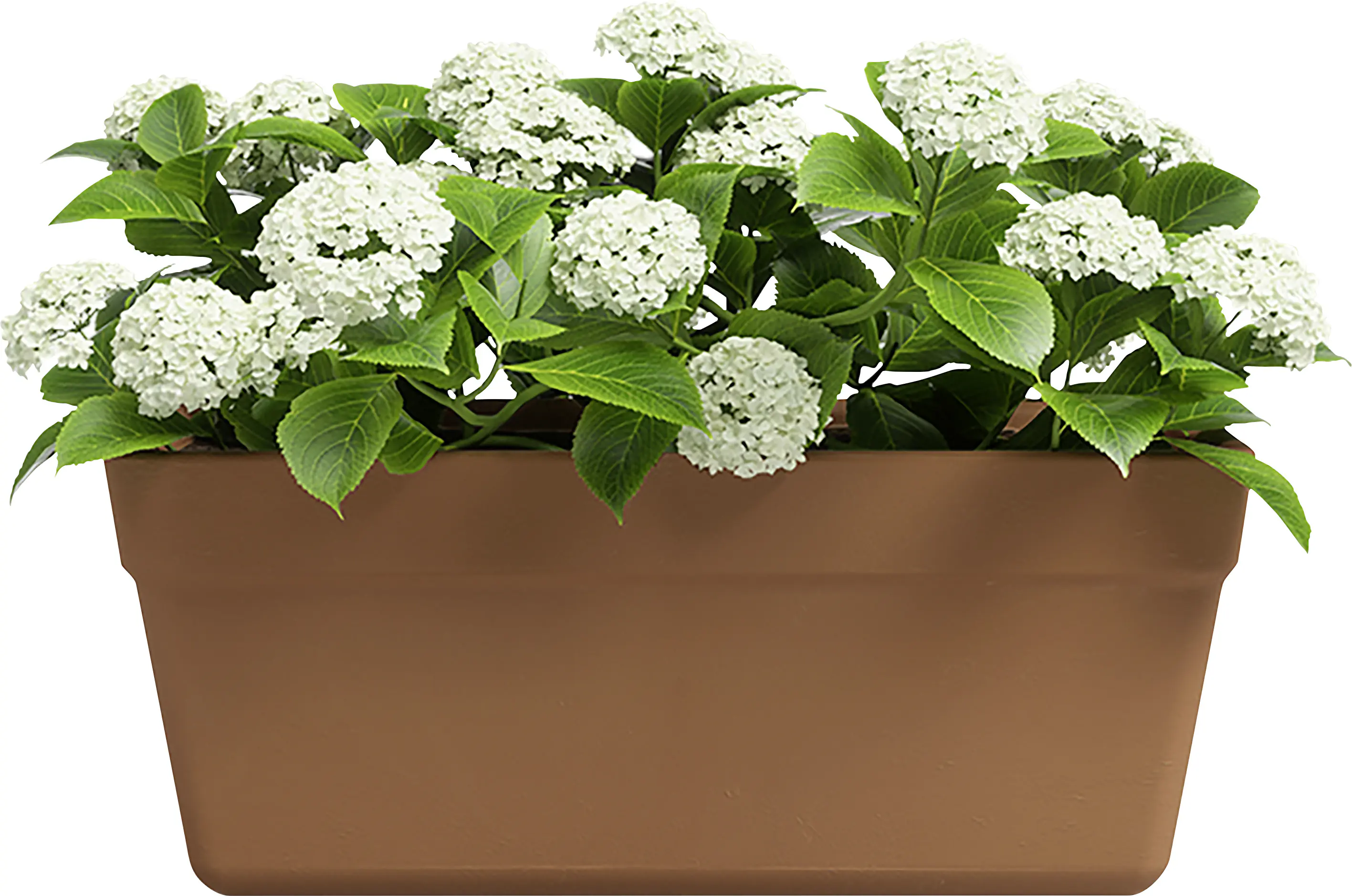 Artevasi Pflanzkasten Amália Terrakotta tonrot 31 x 16 cm 