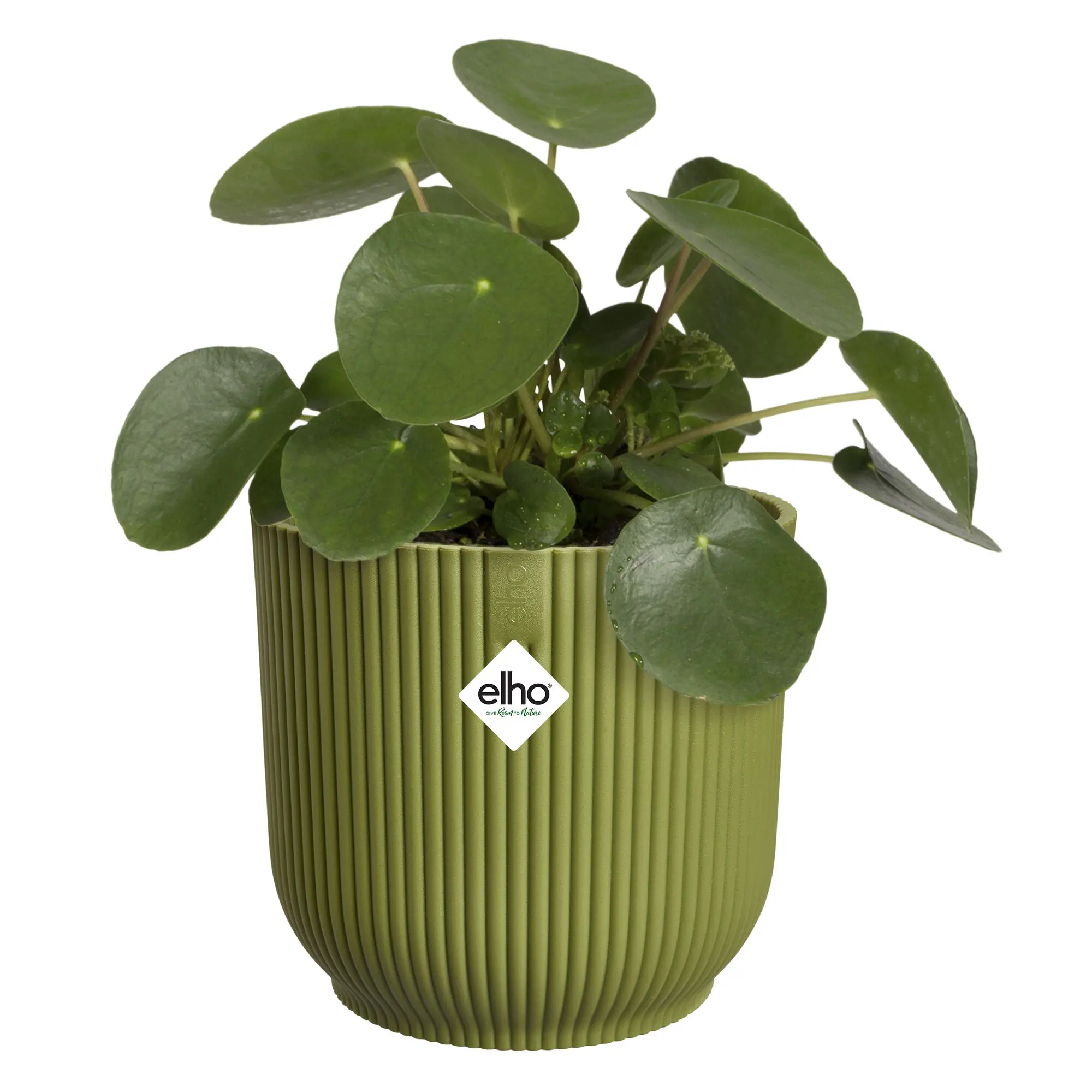 Elho Blumentopf Loft Urban Kunststoff thymiangrün Ø 16 x 15 cm