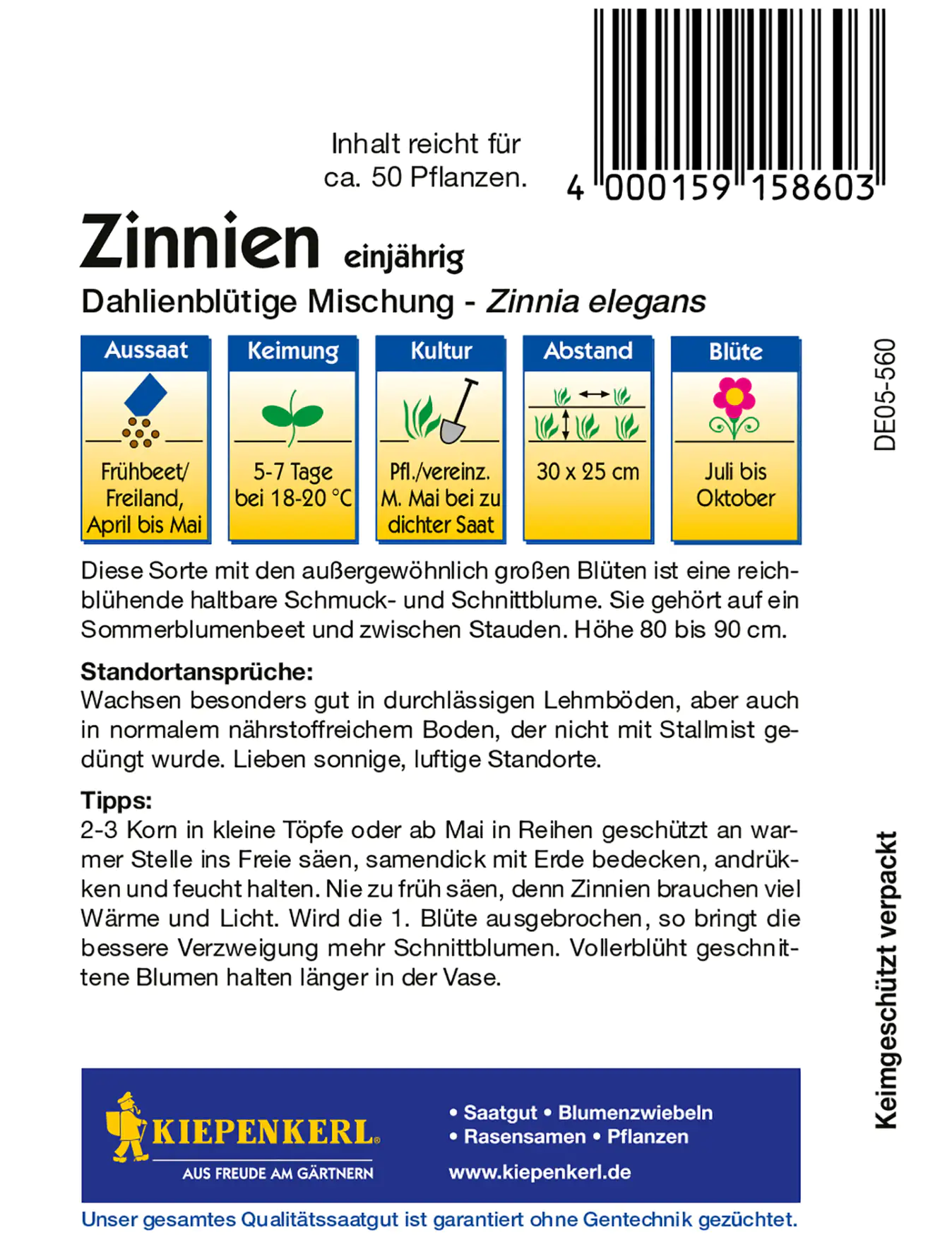 Kiepenkerl Zinnie Dahlienblütige Mischung