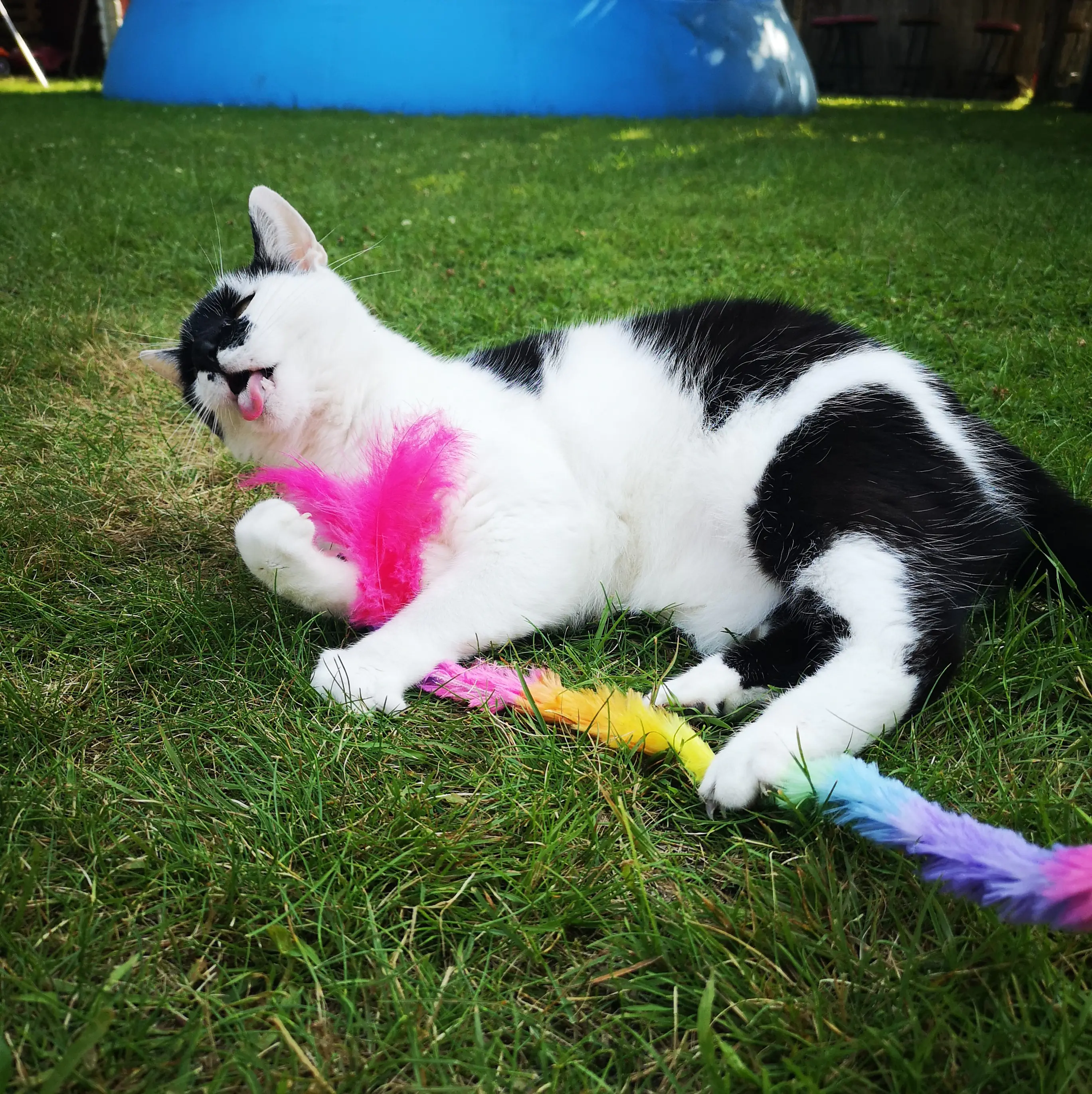Nobby Katzenangel mit Plüsch und Feder