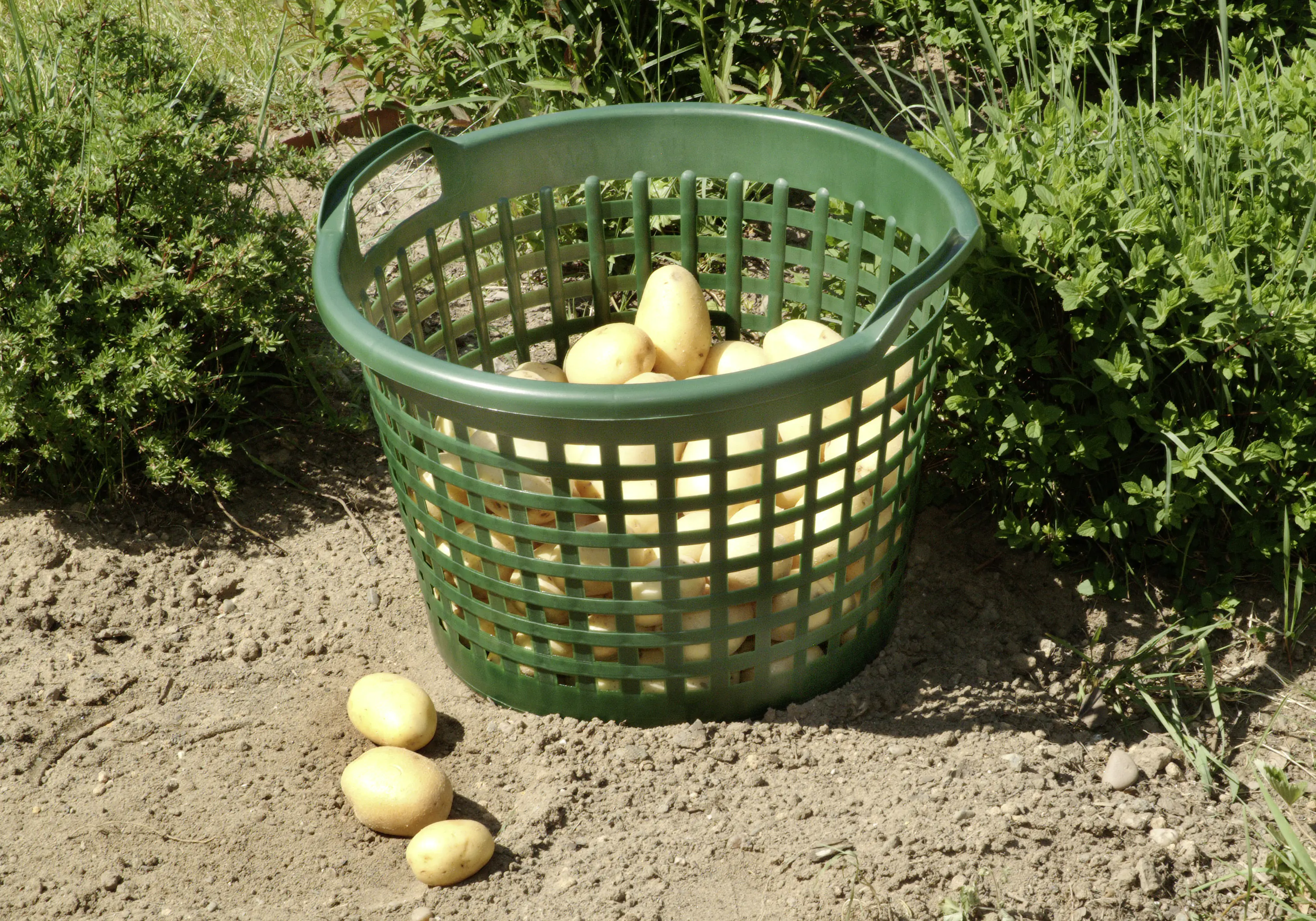 Floraworld Gartenkorb 31 l