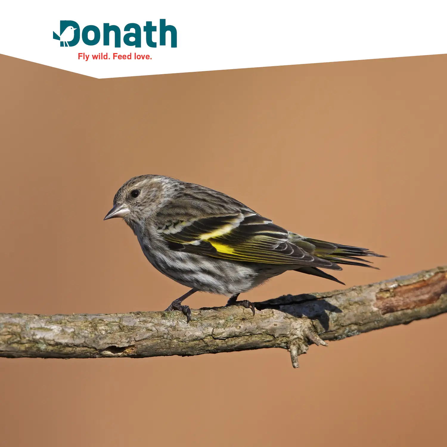 4260681740213_2833864 Donath Wildvogelfutter Komplett Mix 1 kg