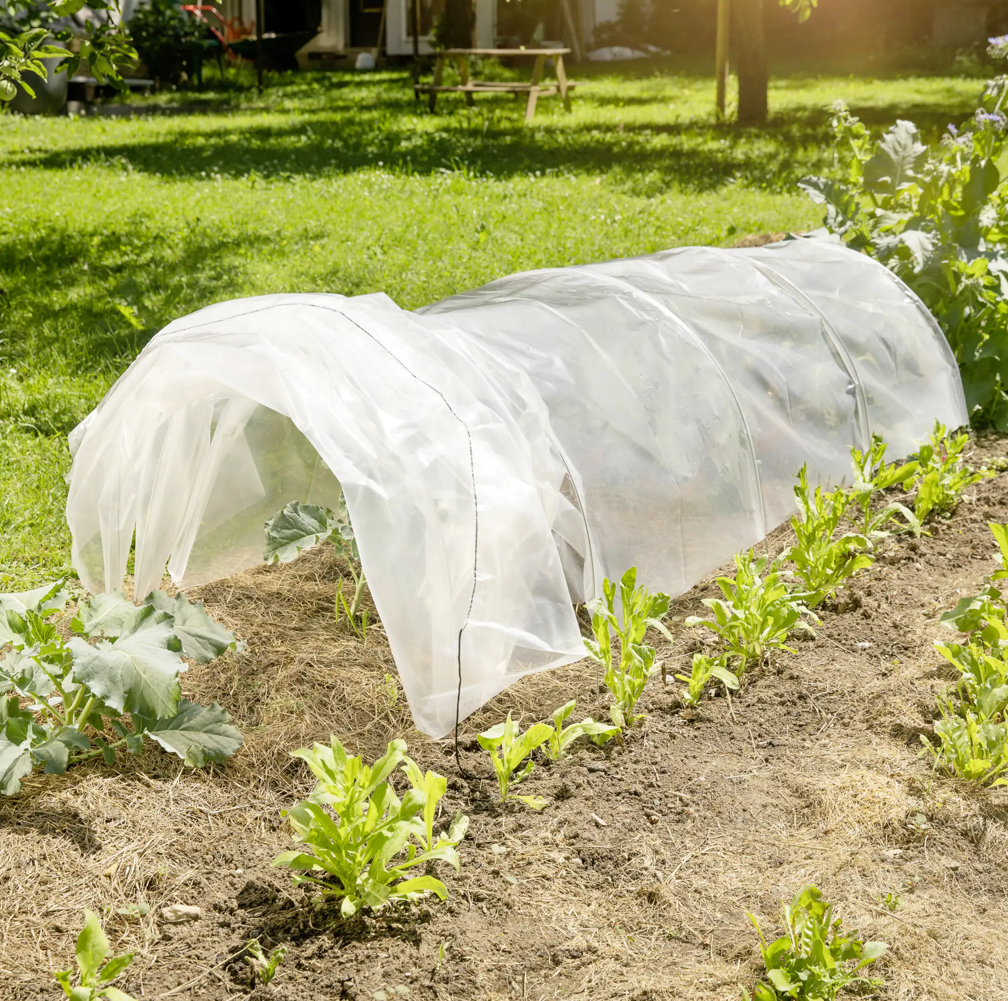 Windhager Tunnelgewächshaus Akkordeon 3 x 0,6 x 0,45 m