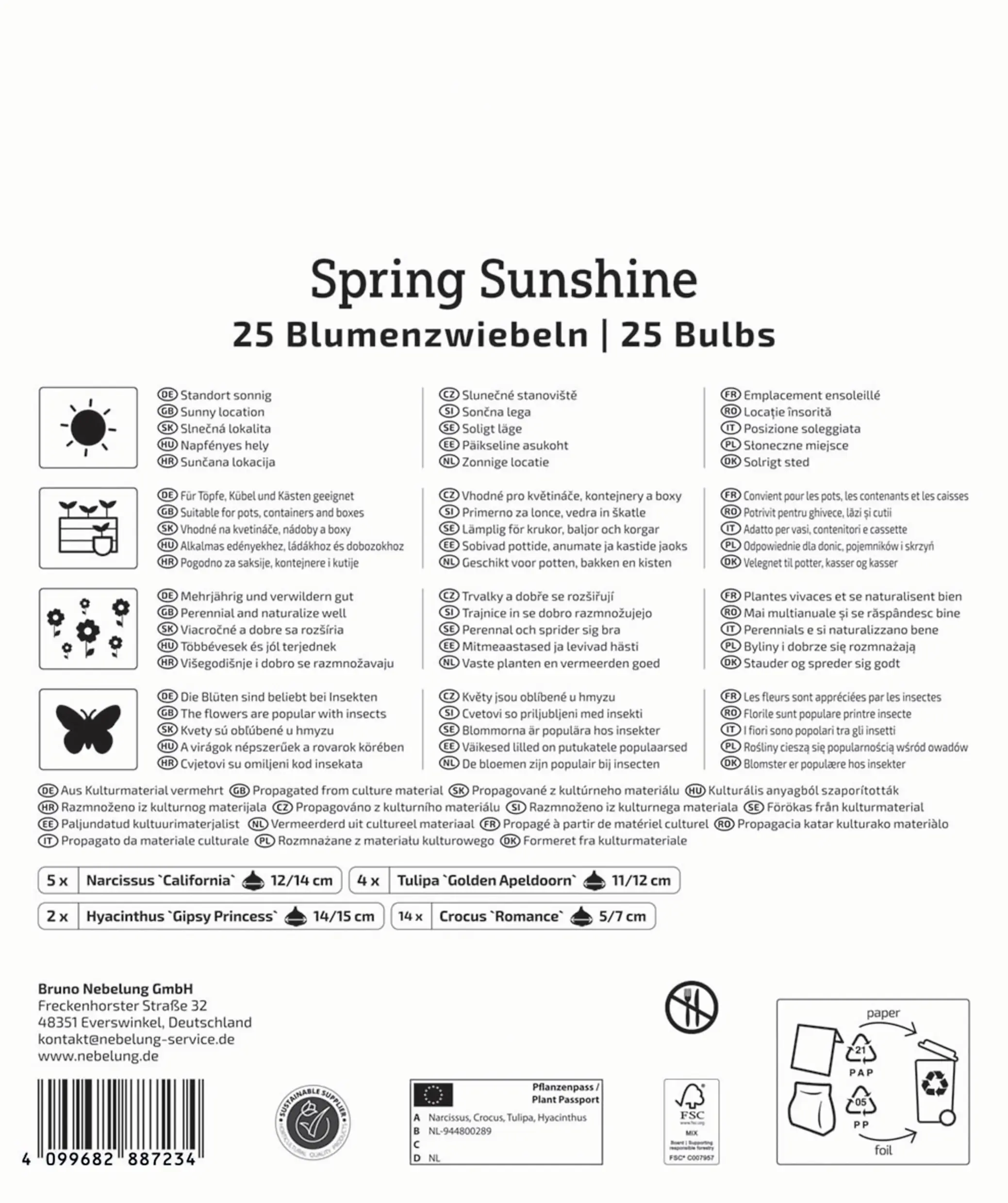 Kiepenkerl Mega Pack Spring Sunshine mehrfarbig 25 Stück