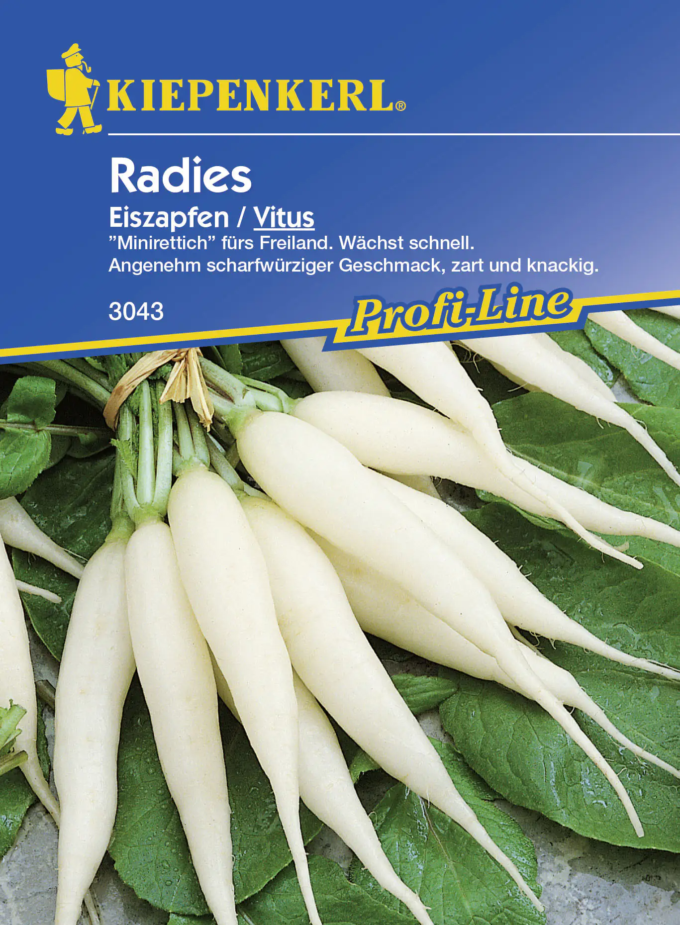 Kiepenkerl Radieschen Eiszapfen Vitus - Originalzüchtung Nebelung Raphanus sativus var. sativus, Inh