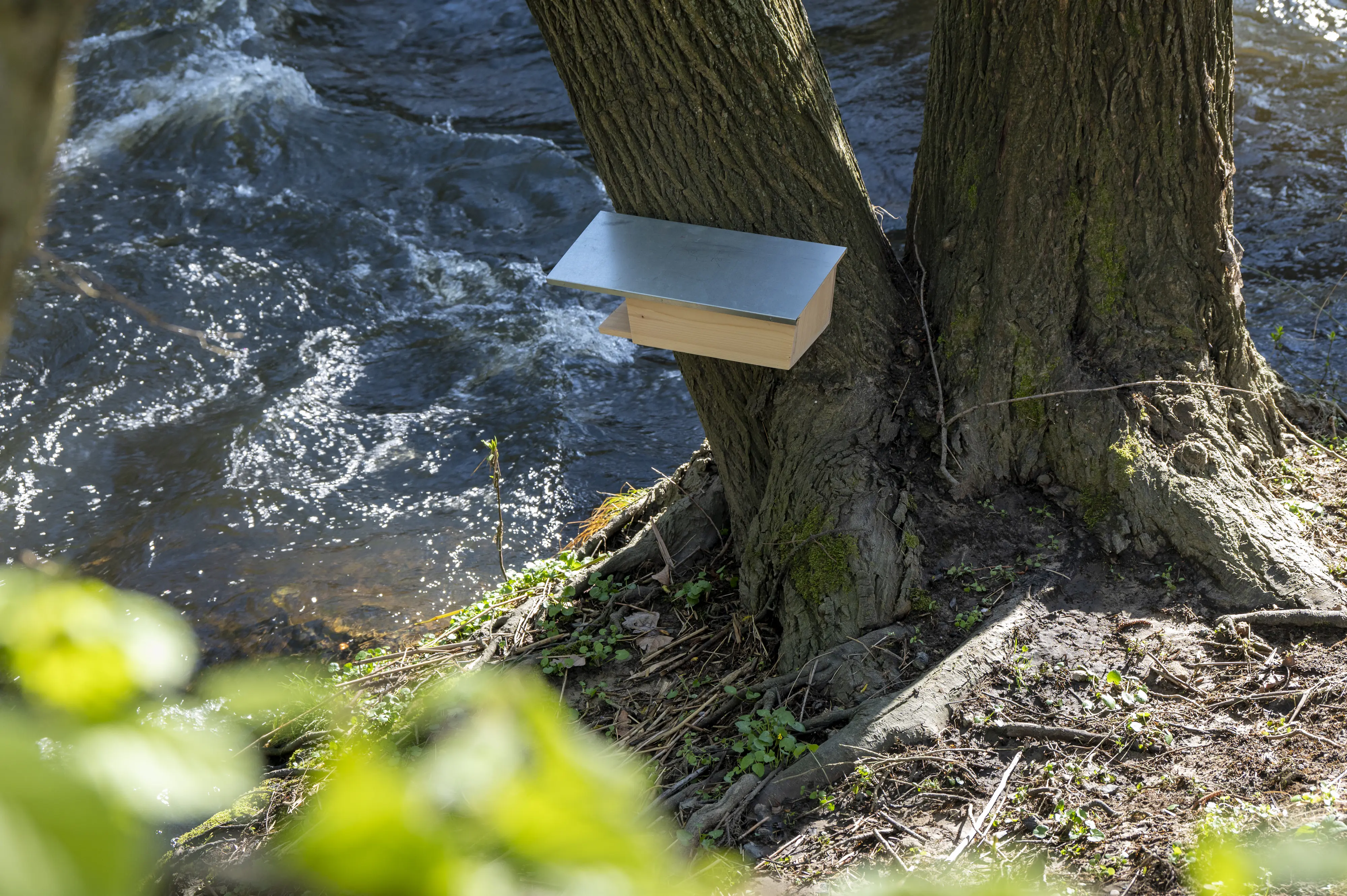 Dobar Nistkasten Bachstelze 48 x 14 x 15 cm natur