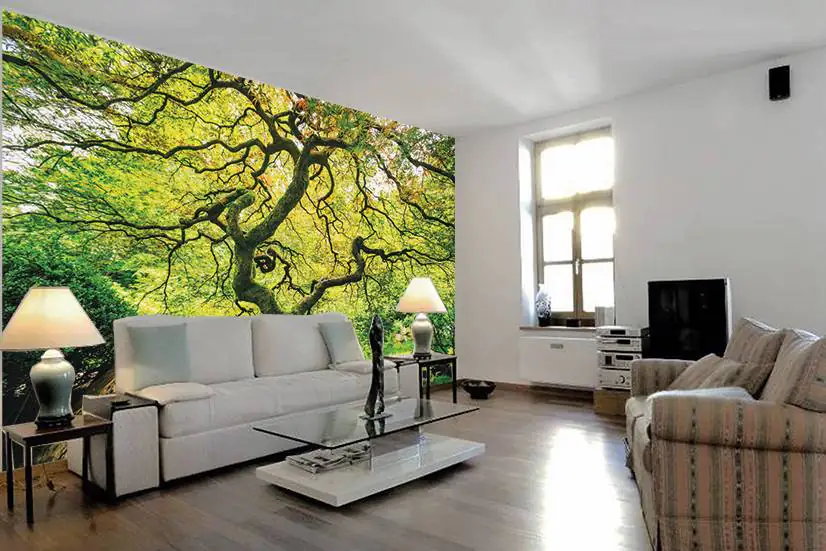 papermoon Vlies-Fototapete Digitaldruck 350 x 260 cm Japanese Maple Tree