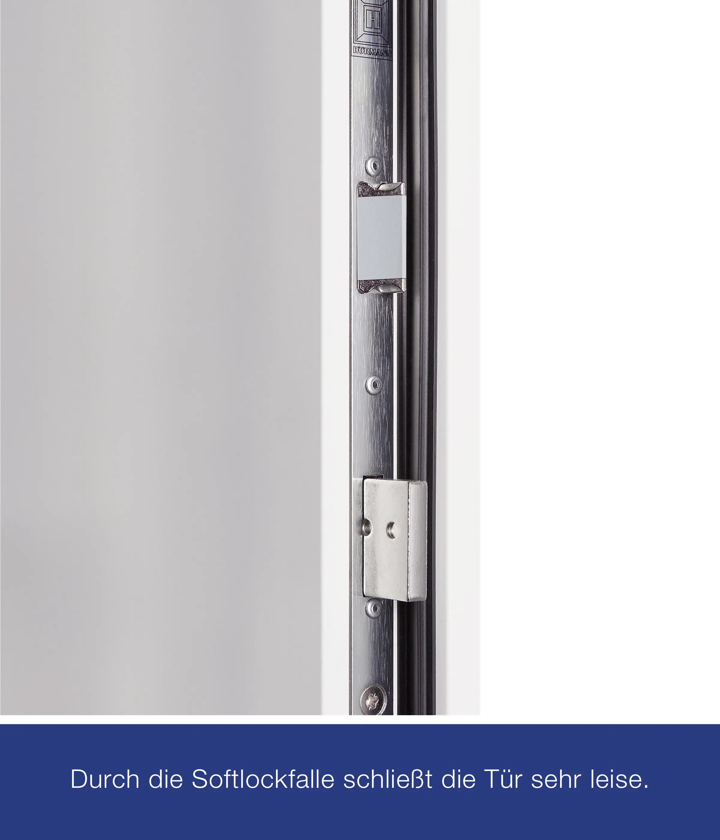 Hörmann Haustür Thermo65 Motiv 610S verkehrsweiß Rechts 110 x 210 cm 