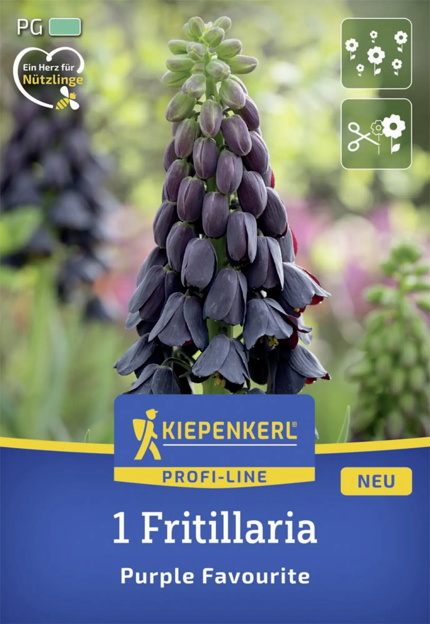 Kiepenkerl Herbstblumenzwiebel Profi-Line Persische Kaiserkrone Purple Favourite 1 Stück