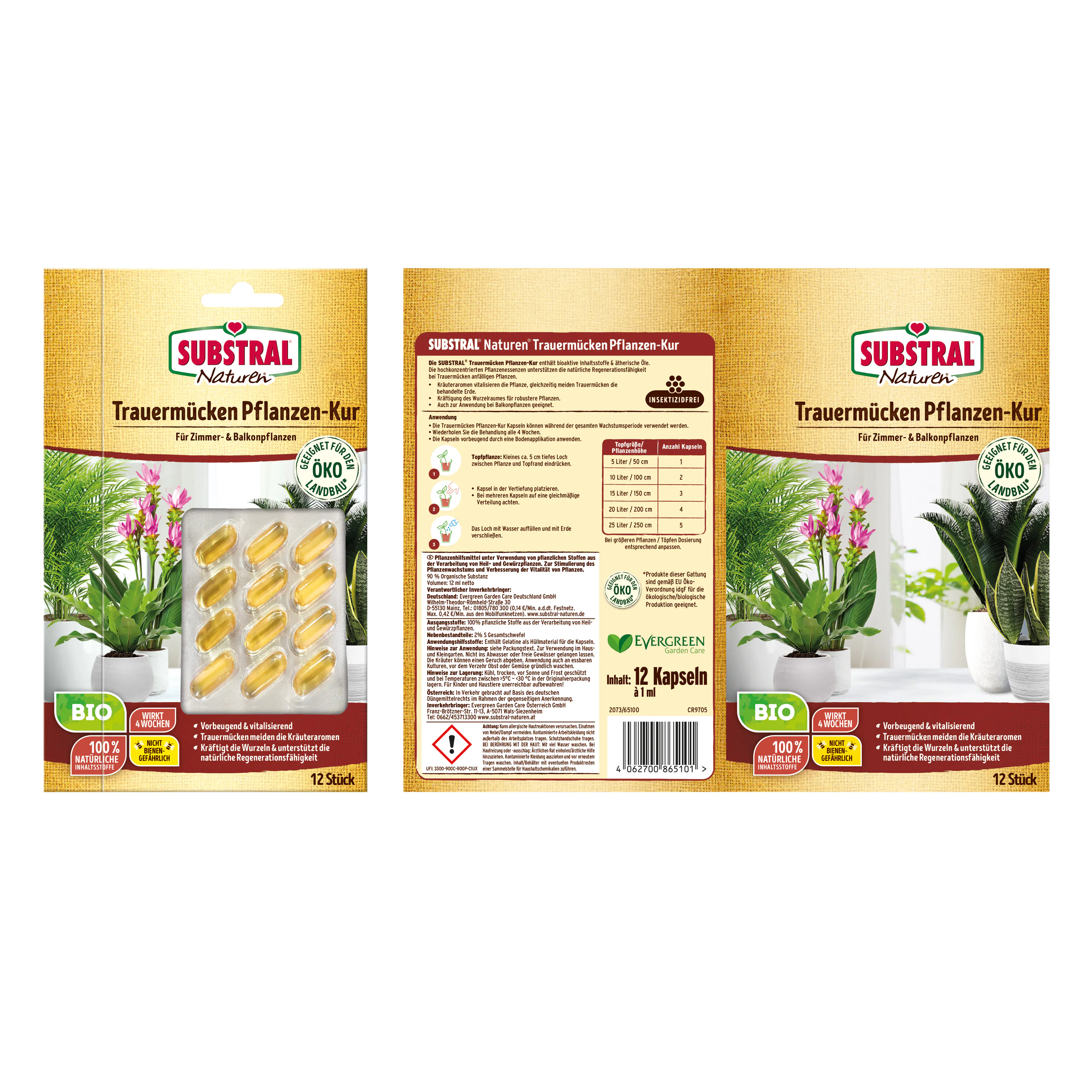 Substral Naturen Trauermücken Pflanzenkur 12 Stück