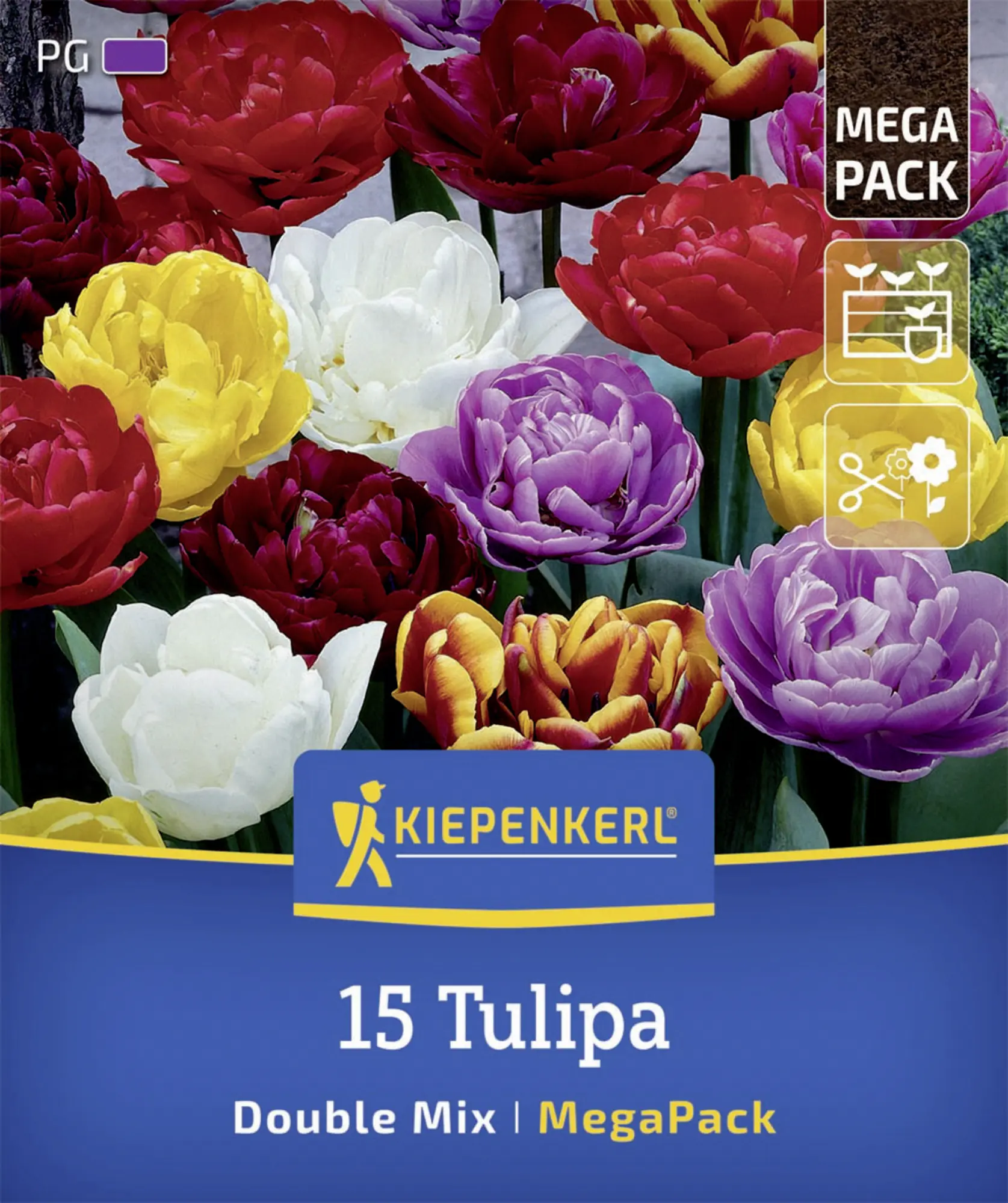 Kiepenkerl Herbstblumenzwiebelmischung Mega-Pack Gefüllte Tulpen 15 Stück