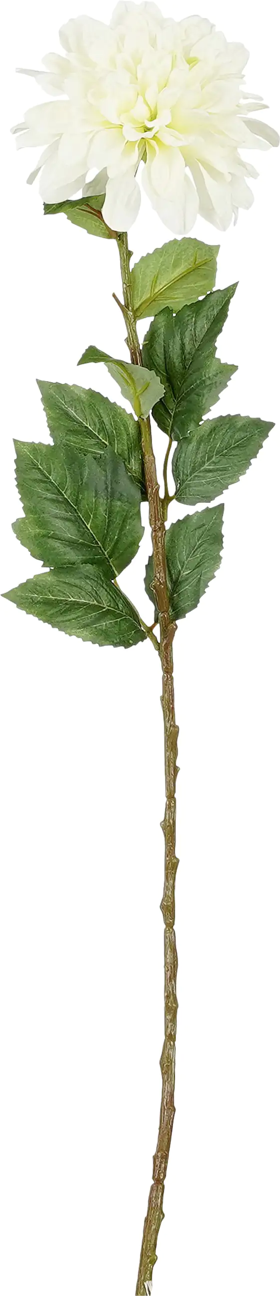 Mica Dahlie weiß aus Polyester 75 cm Mica Dahlie weiß aus Polyester 75 cm