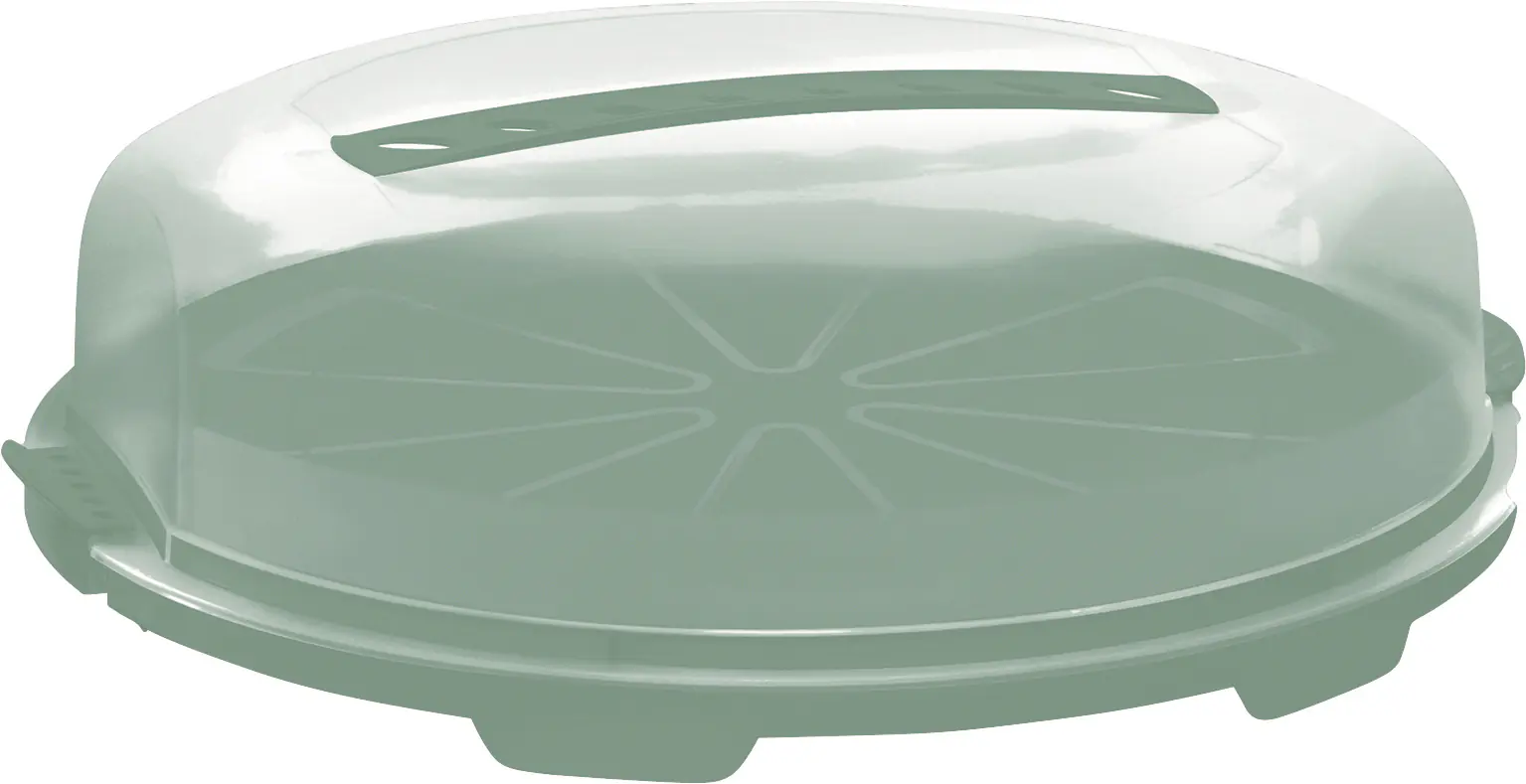 Rotho Tortenglocke Fresh flach mistletoe grün