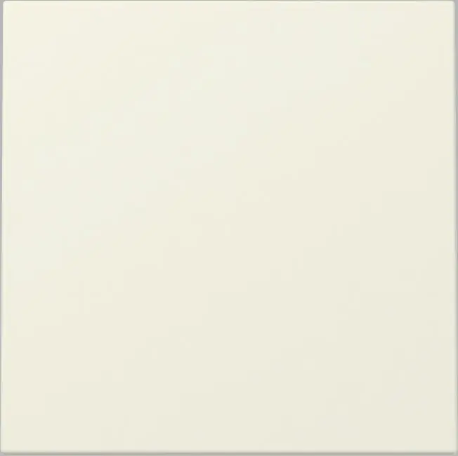 Gira Wippschalter Universal System 55 Thermoplast reinweiß glänzend 329601