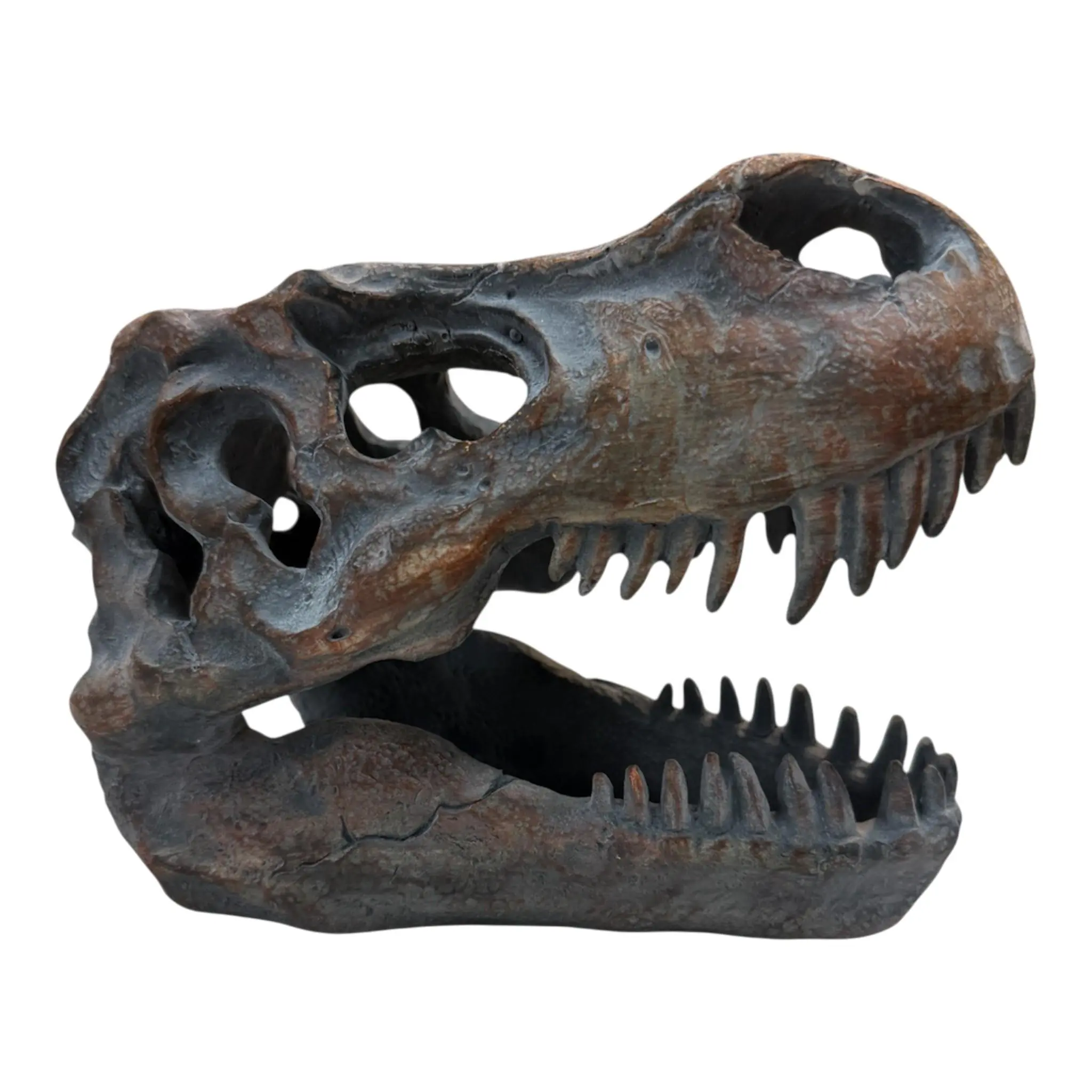 Figur Dinosaurier Schädel 15,5 x 19,5 cm grau