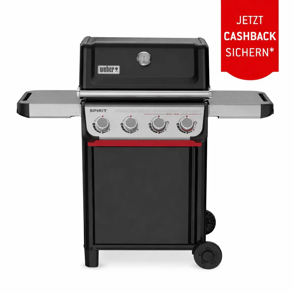 Weber Gasgrill Spirit E425 Grillfläche: 62 x 44 cm