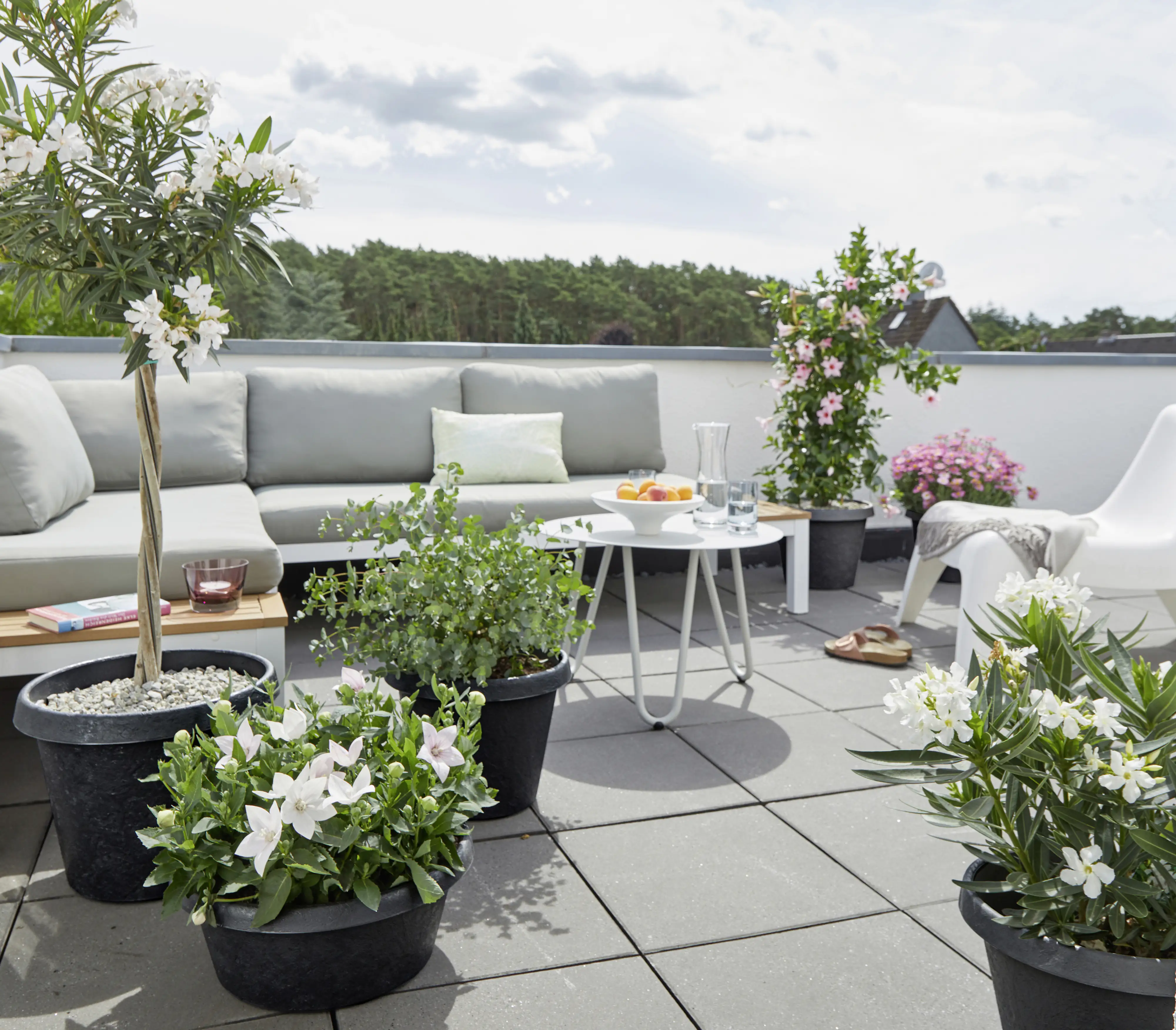 Scheurich Pflanzgefäß Stones Serie 285 anthrazit Ø 47 cm