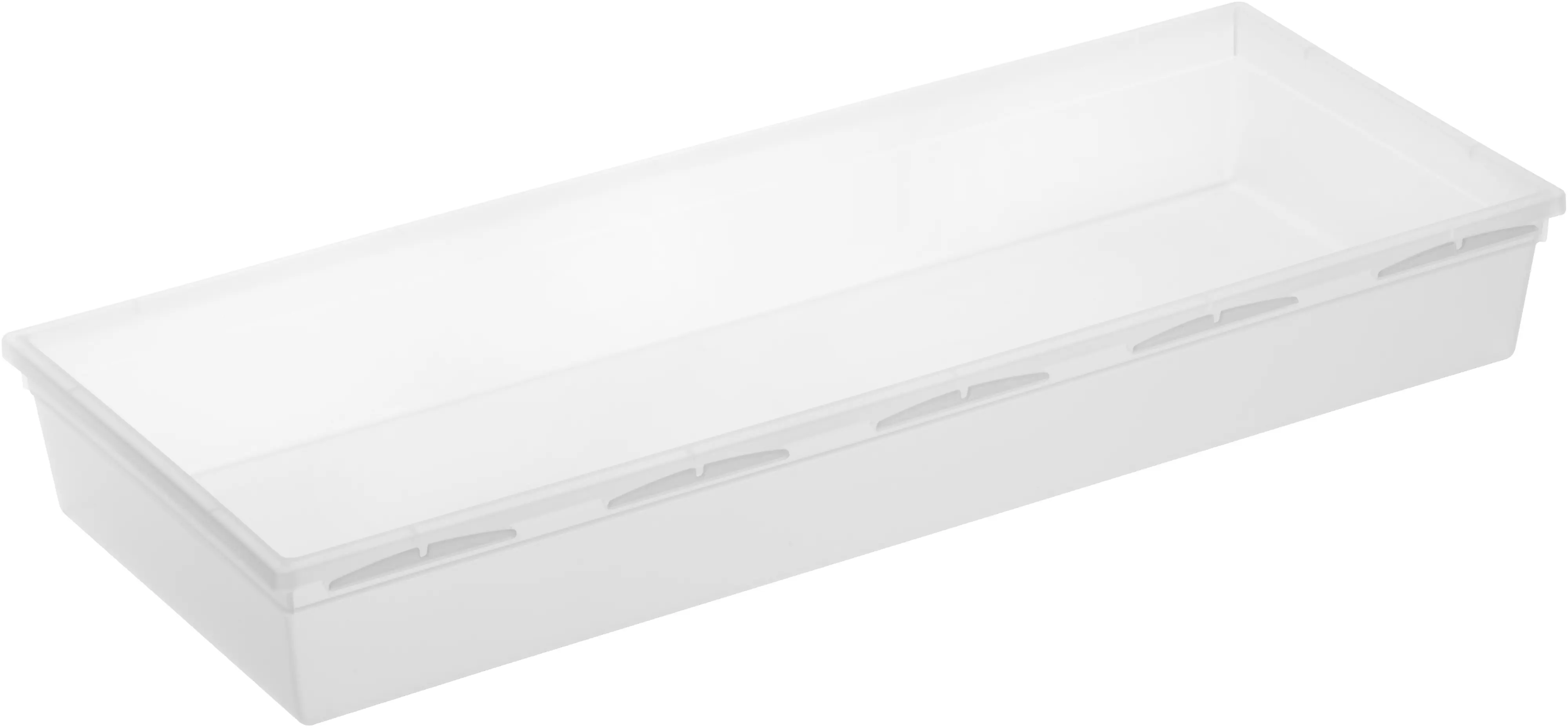 Rotho Ordnungssystem Basic 38 x 15 x 5 cm, transparent