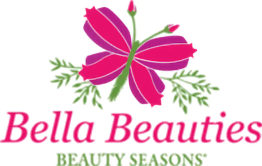 Irische Glockenheide Daboecia Bella Beauties H ca 10 cm 11 cm Topf