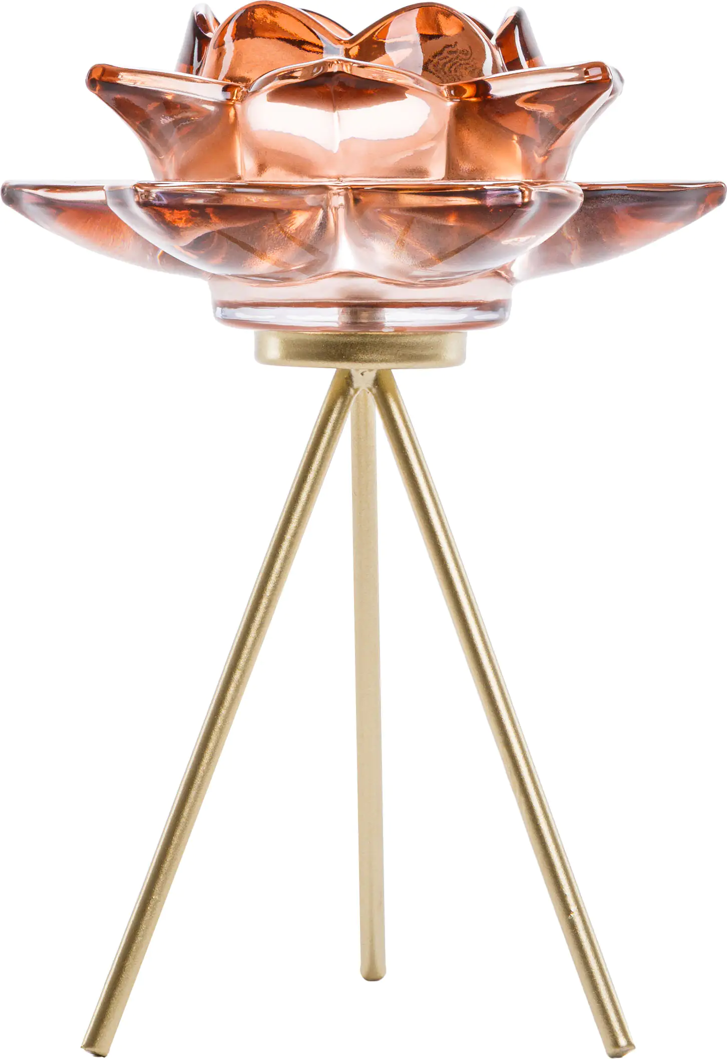 4333692816632_01 TrendLine Teelichthalter Glas 20,5 cm rose gold Seerose
