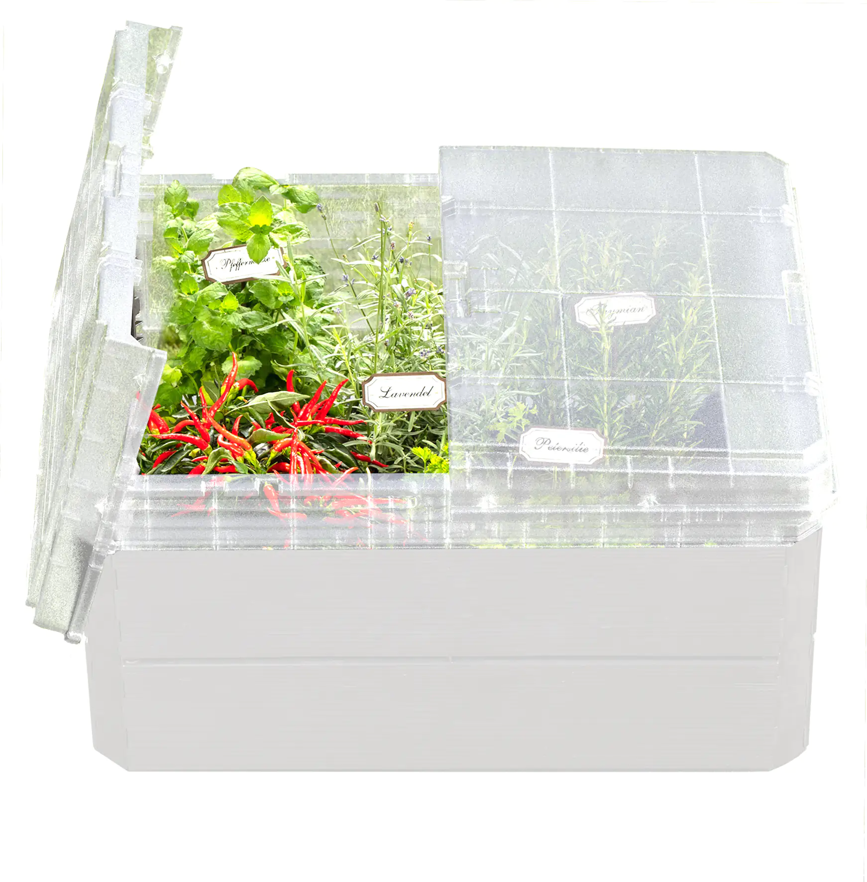 4023122266952_3 Garantia Frühbeet-Aufsatz Ergo Quadro M für Hochbeet Ergo Quadro M