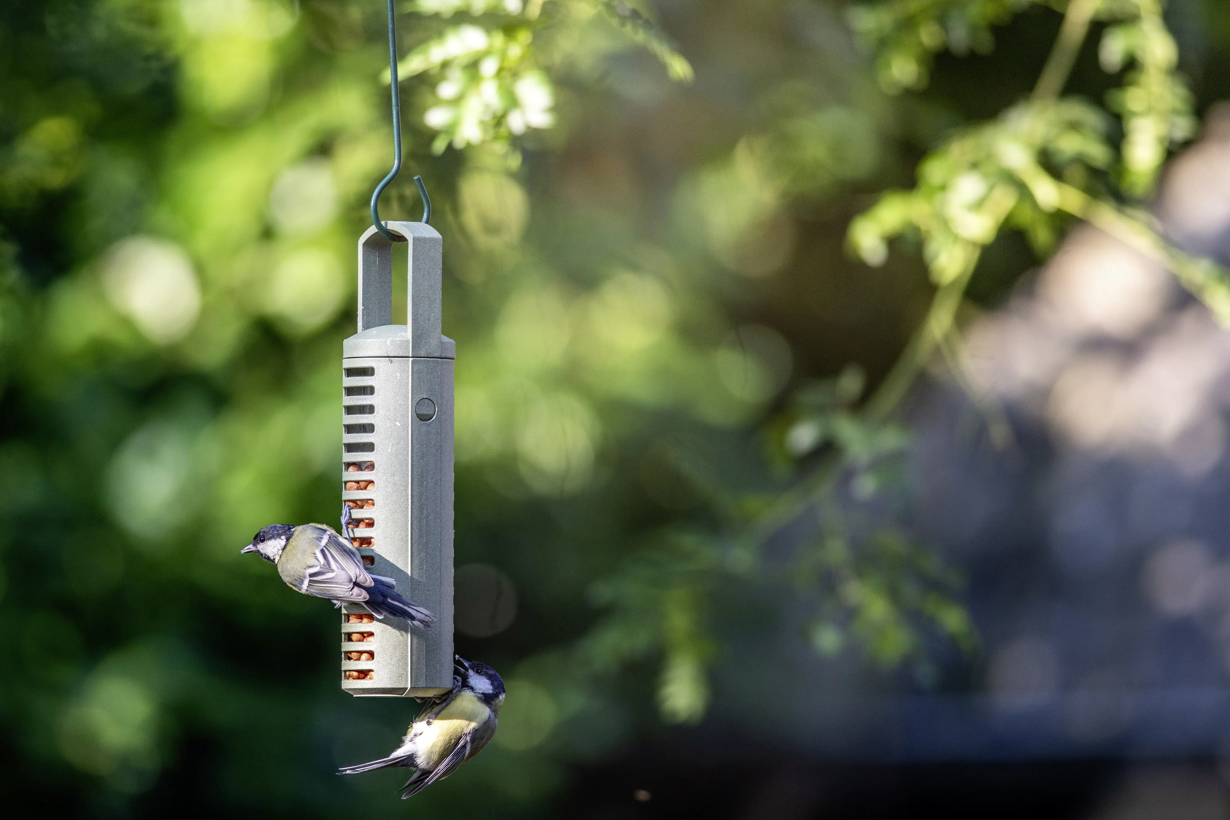 CJ Wildbird Erdnusssäule für Wildvögel CJ Wildbird Erdnusssäule für Wildvögel