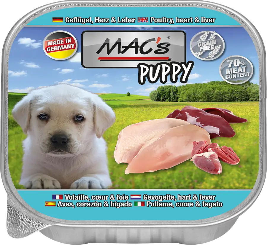 Macs Dog Puppy Hundenassfutter Junior getreidefrei 150 g Geflügel & Rind