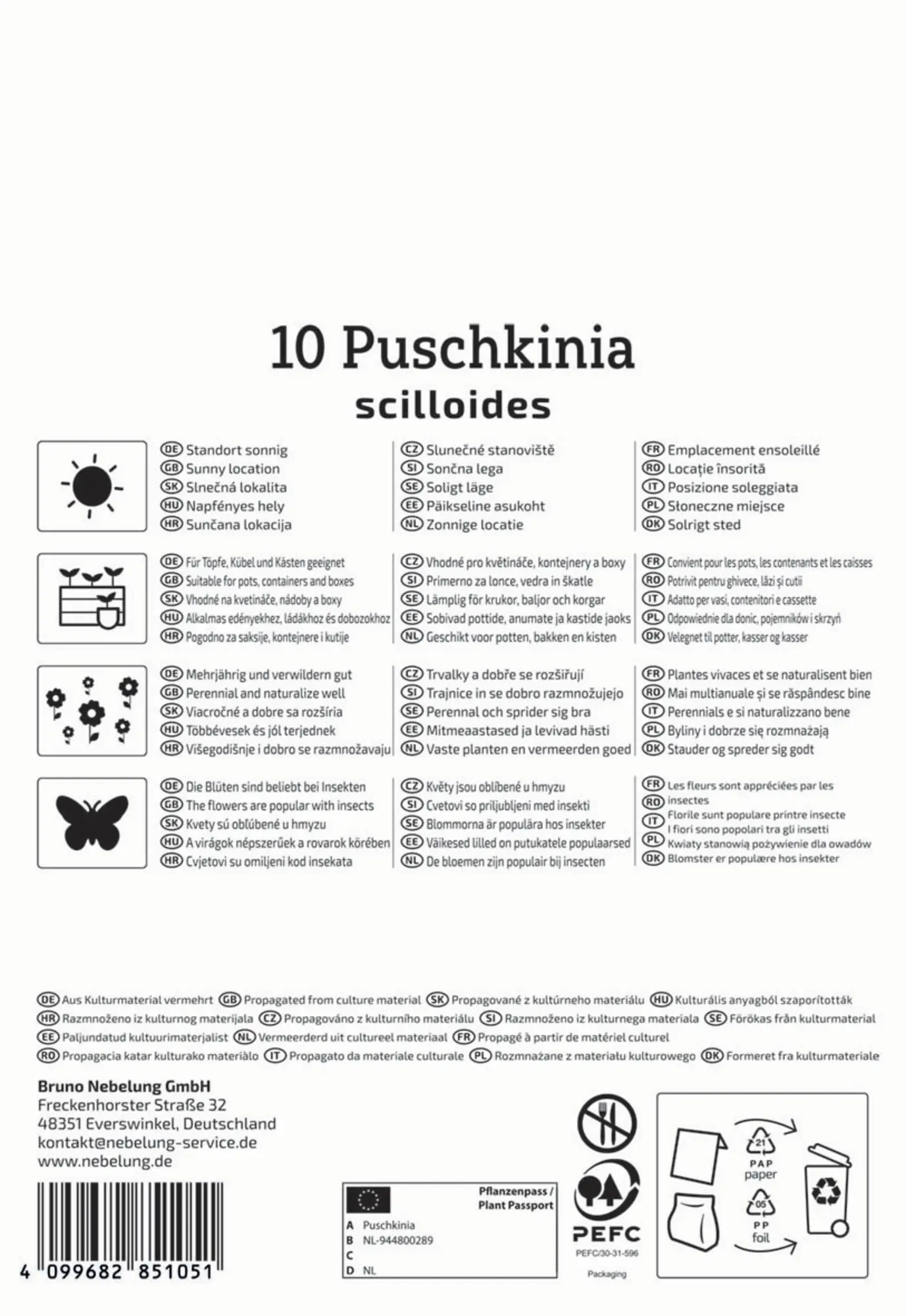 Kiepenkerl Herbstblumenzwiebel Puschkinie 10 Pflanzen