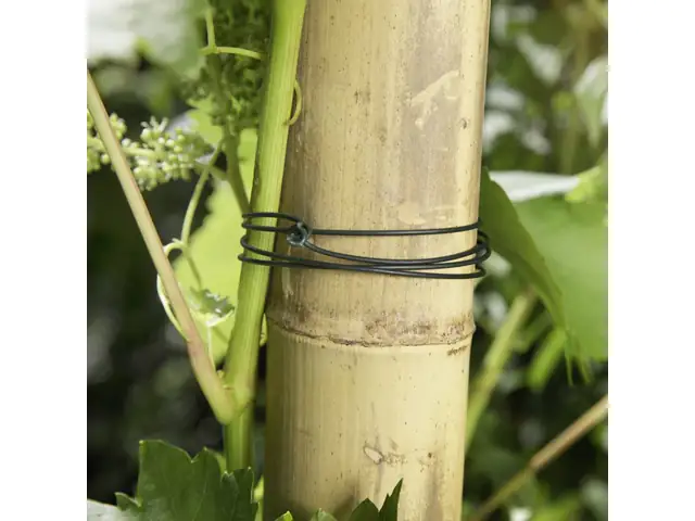 Windhager Gartendraht 10 m, grün